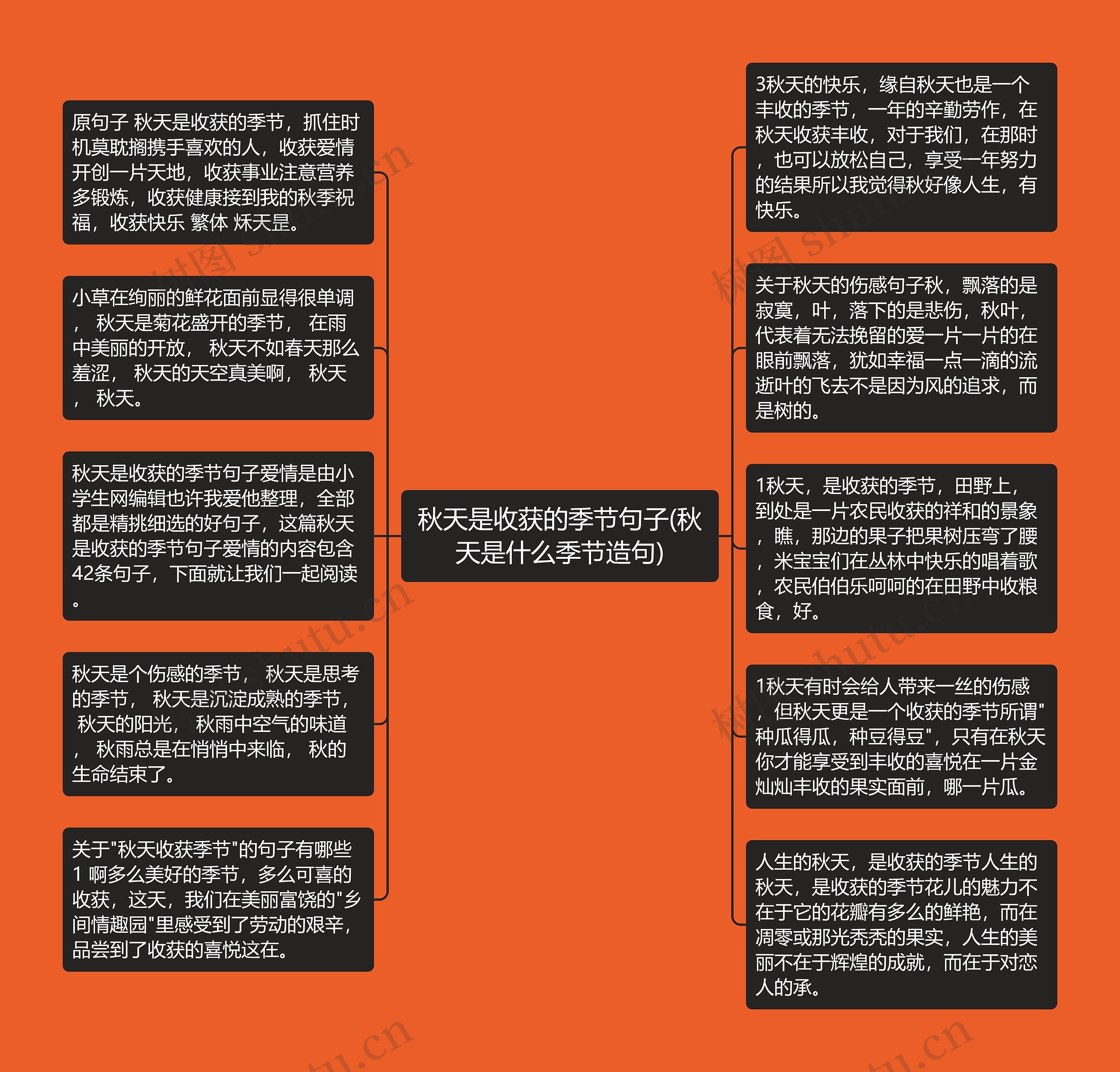 秋天是收获的季节句子(秋天是什么季节造句)