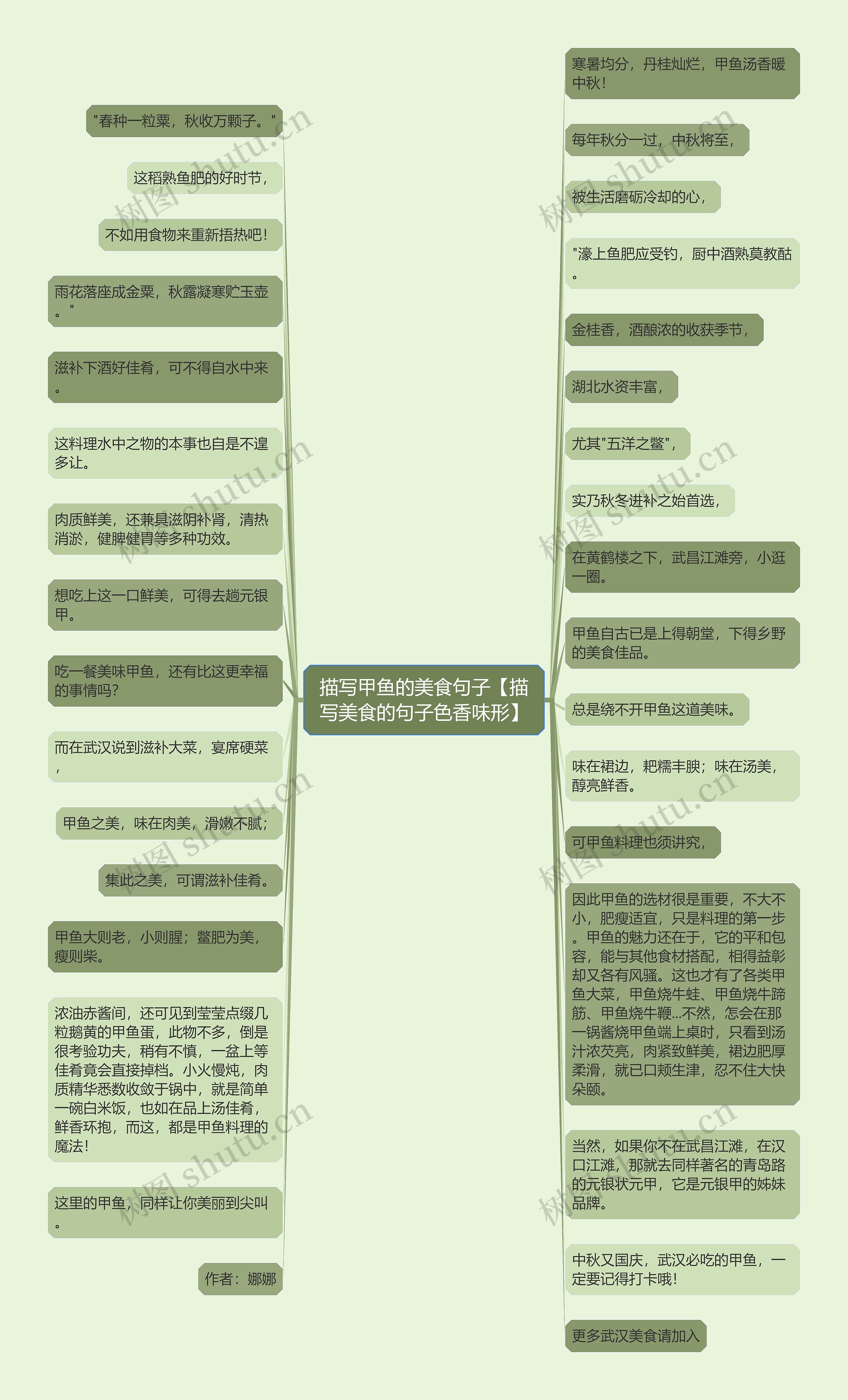 描写甲鱼的美食句子【描写美食的句子色香味形】