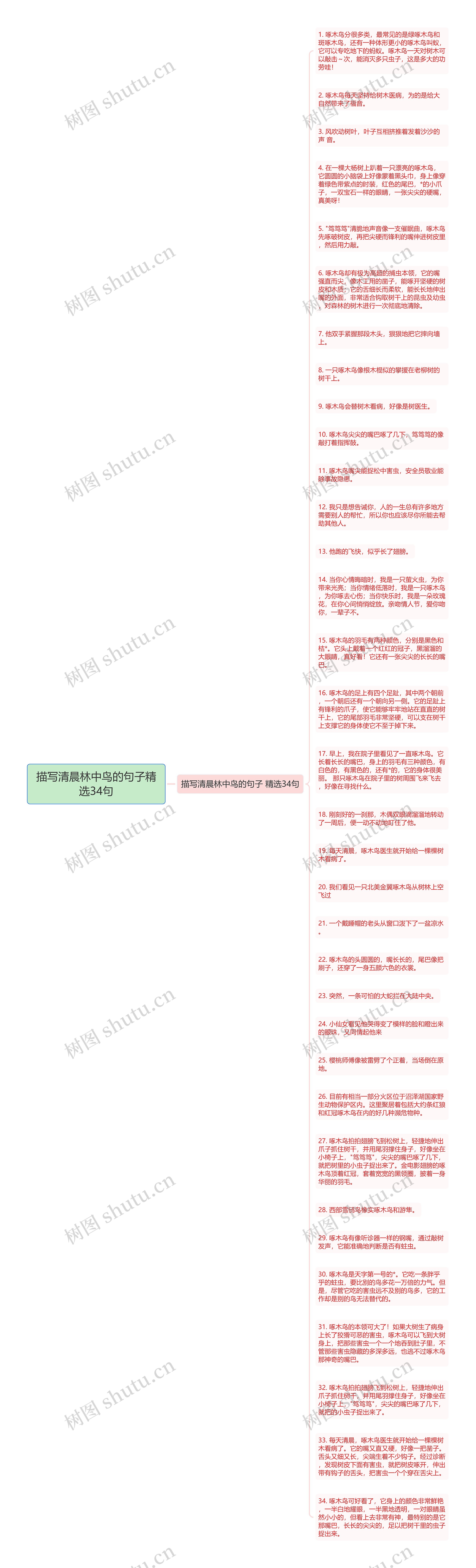 描写清晨林中鸟的句子精选34句