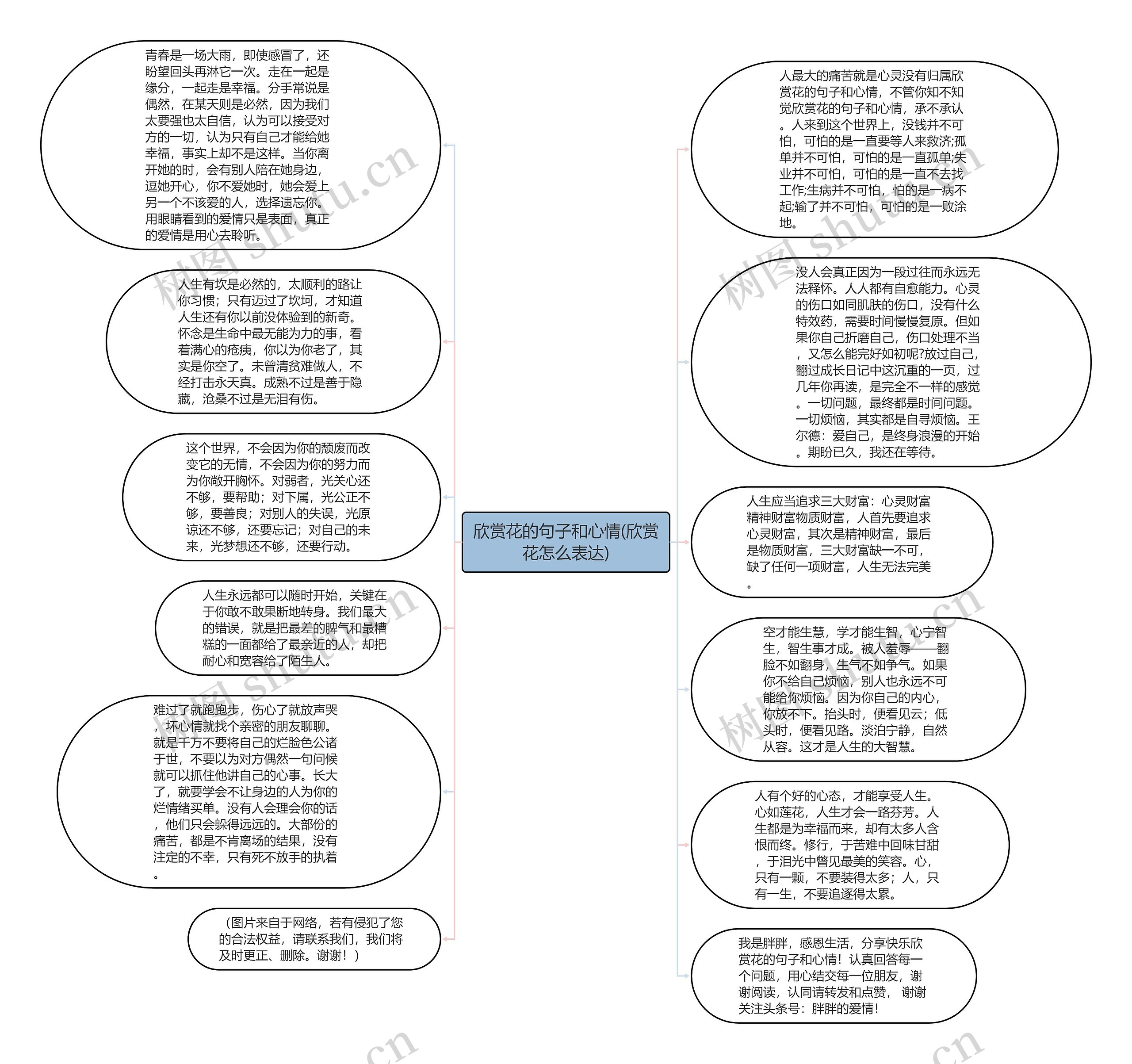 欣赏花的句子和心情(欣赏花怎么表达)思维导图