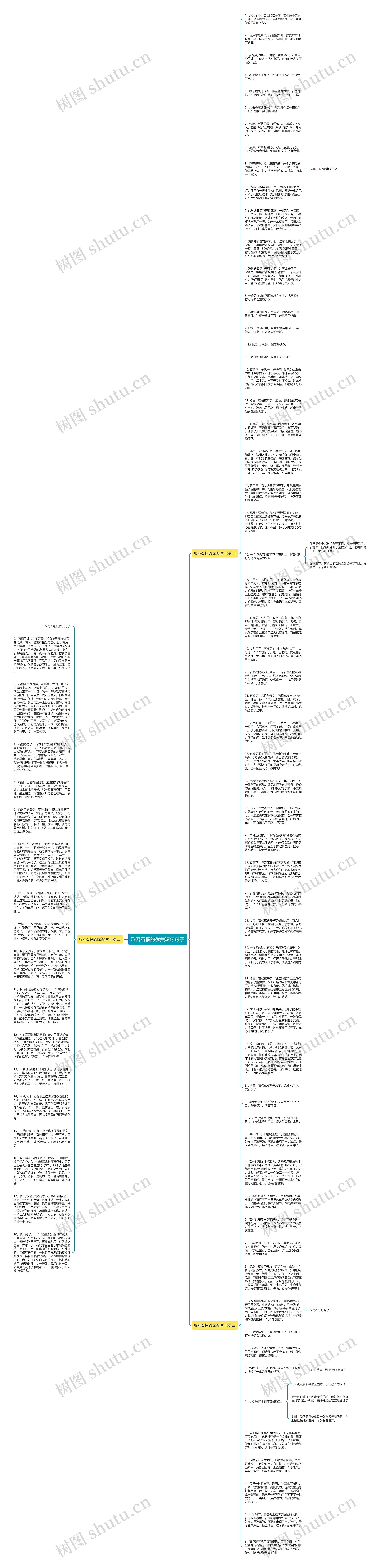 形容石榴的优美短句句子思维导图