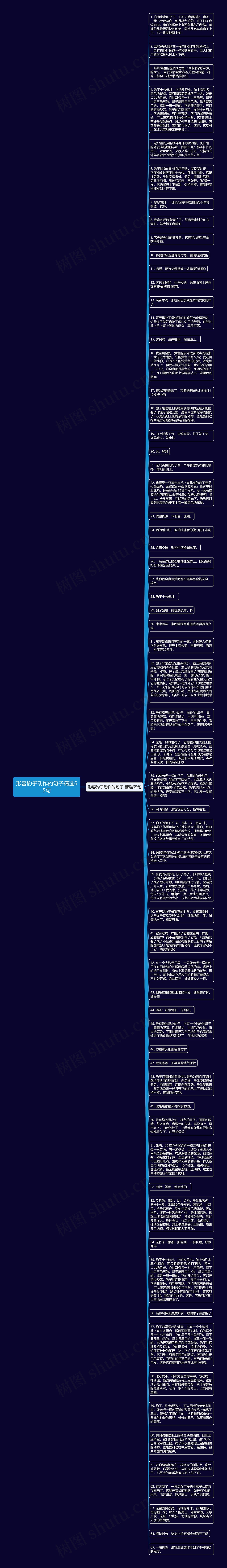 形容豹子动作的句子精选65句