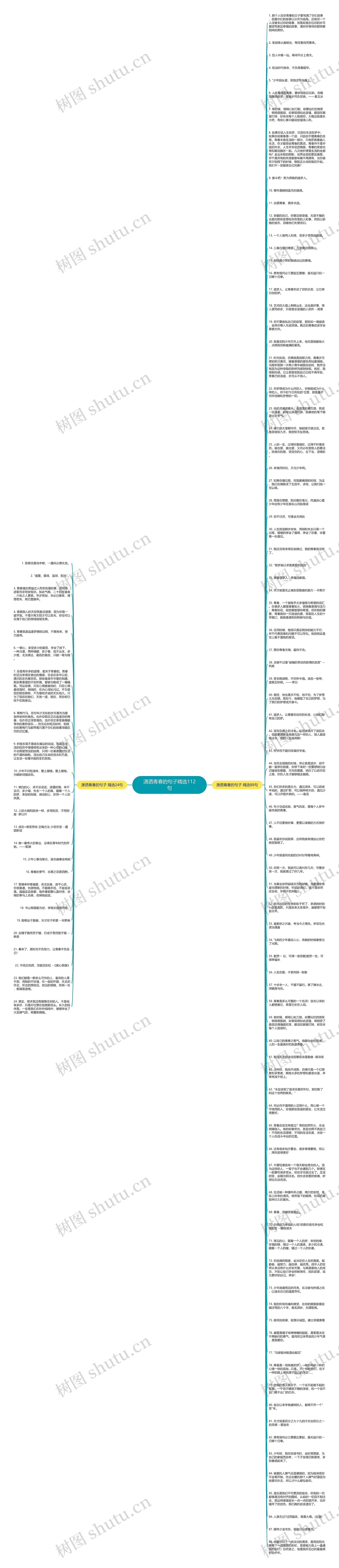 潇洒青春的句子精选112句思维导图