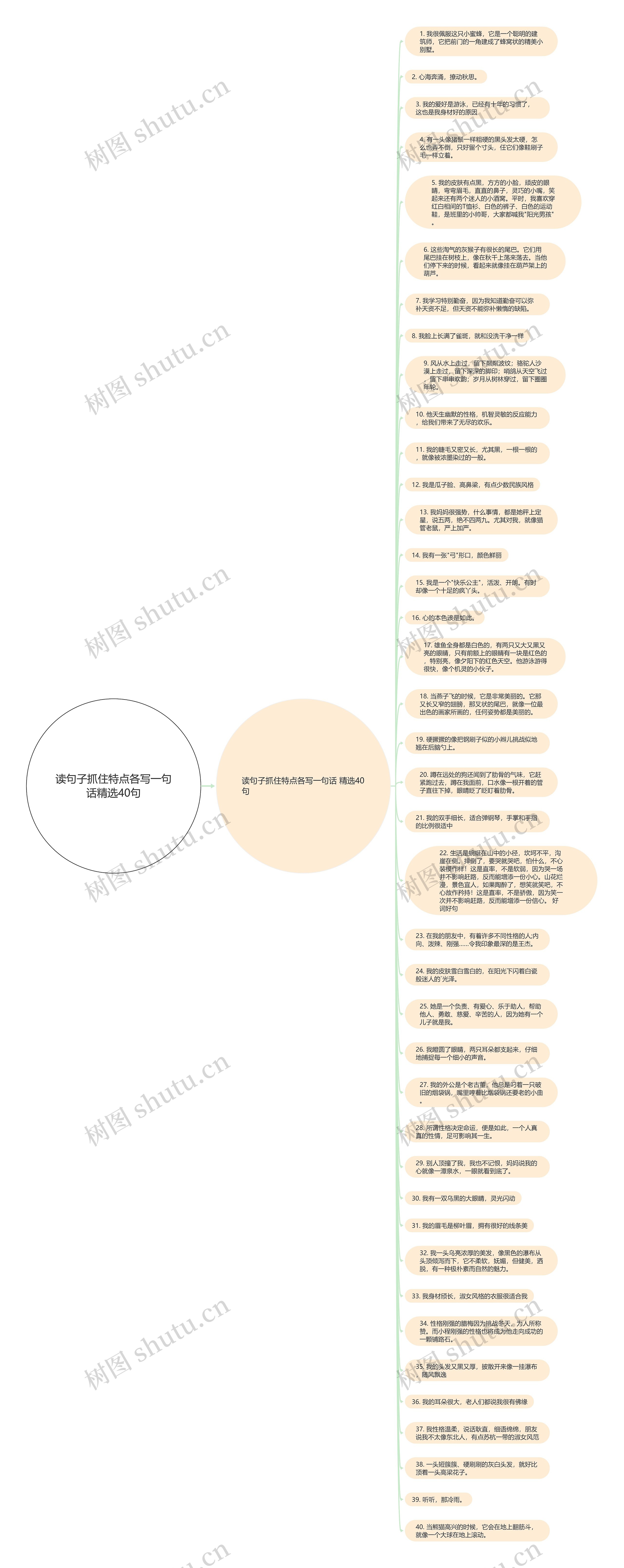 读句子抓住特点各写一句话精选40句思维导图