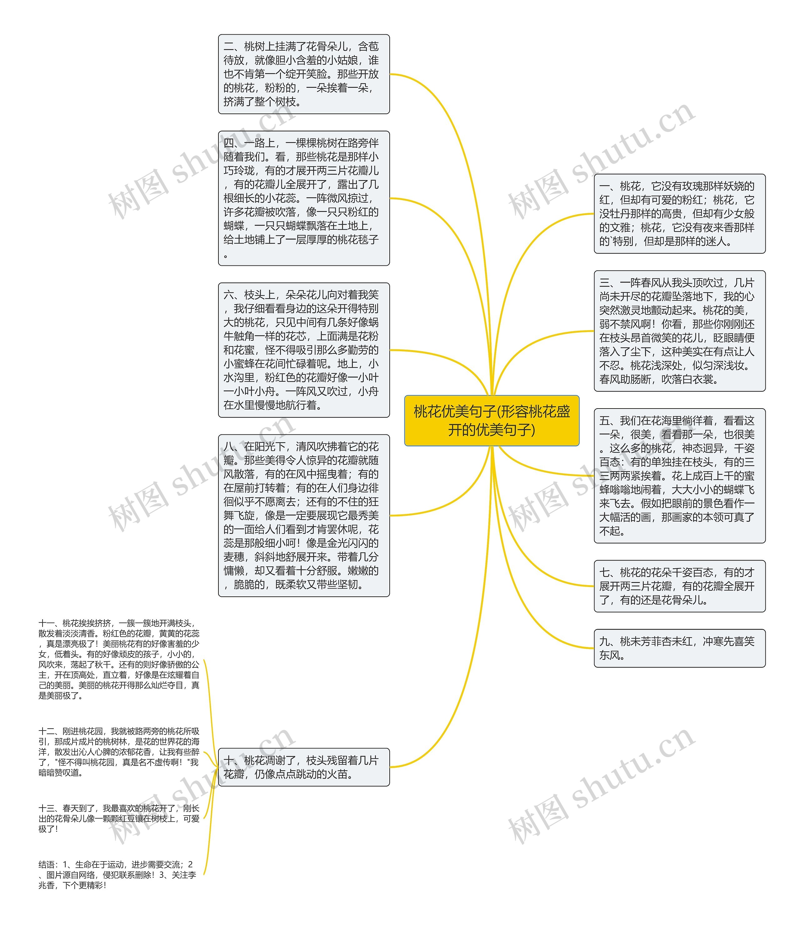 桃花优美句子(形容桃花盛开的优美句子)思维导图