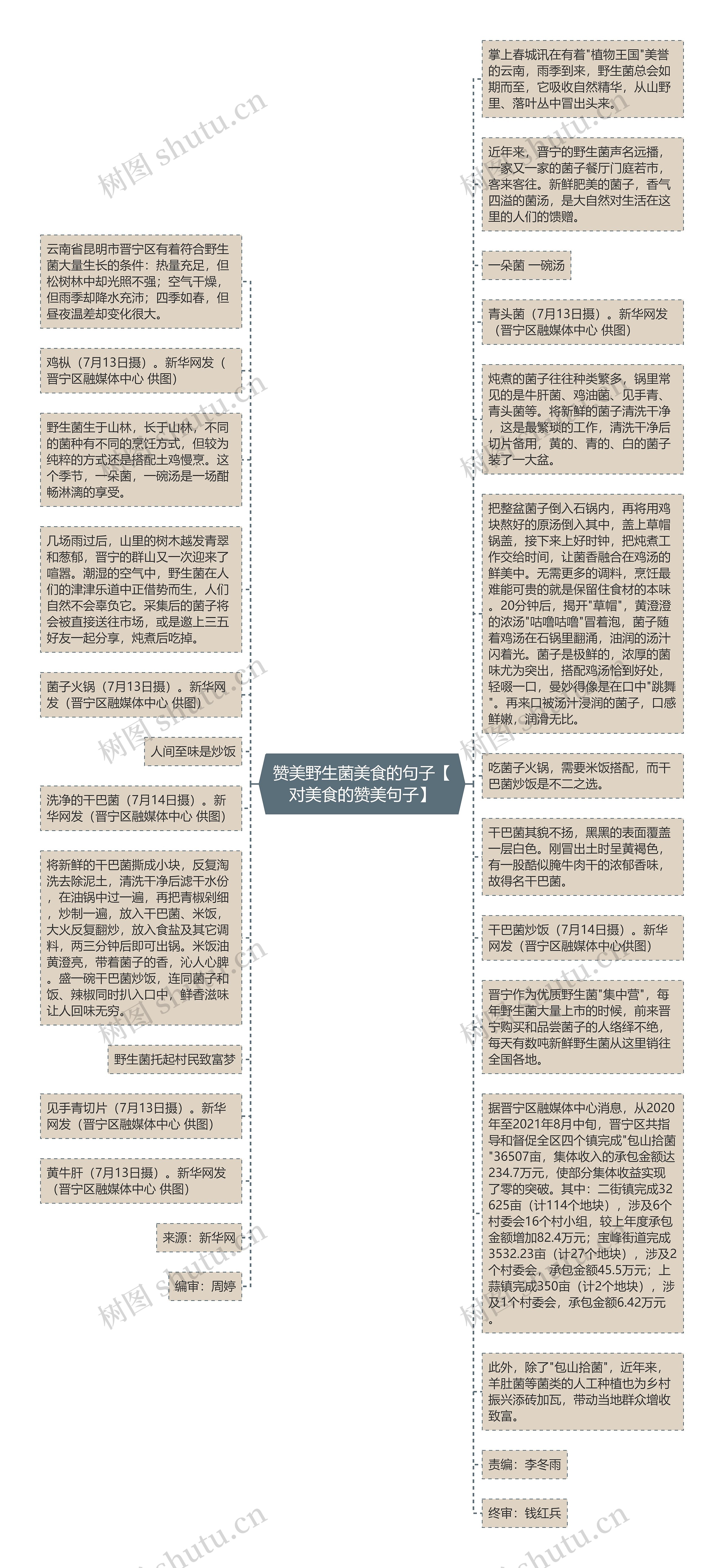 赞美野生菌美食的句子【对美食的赞美句子】思维导图