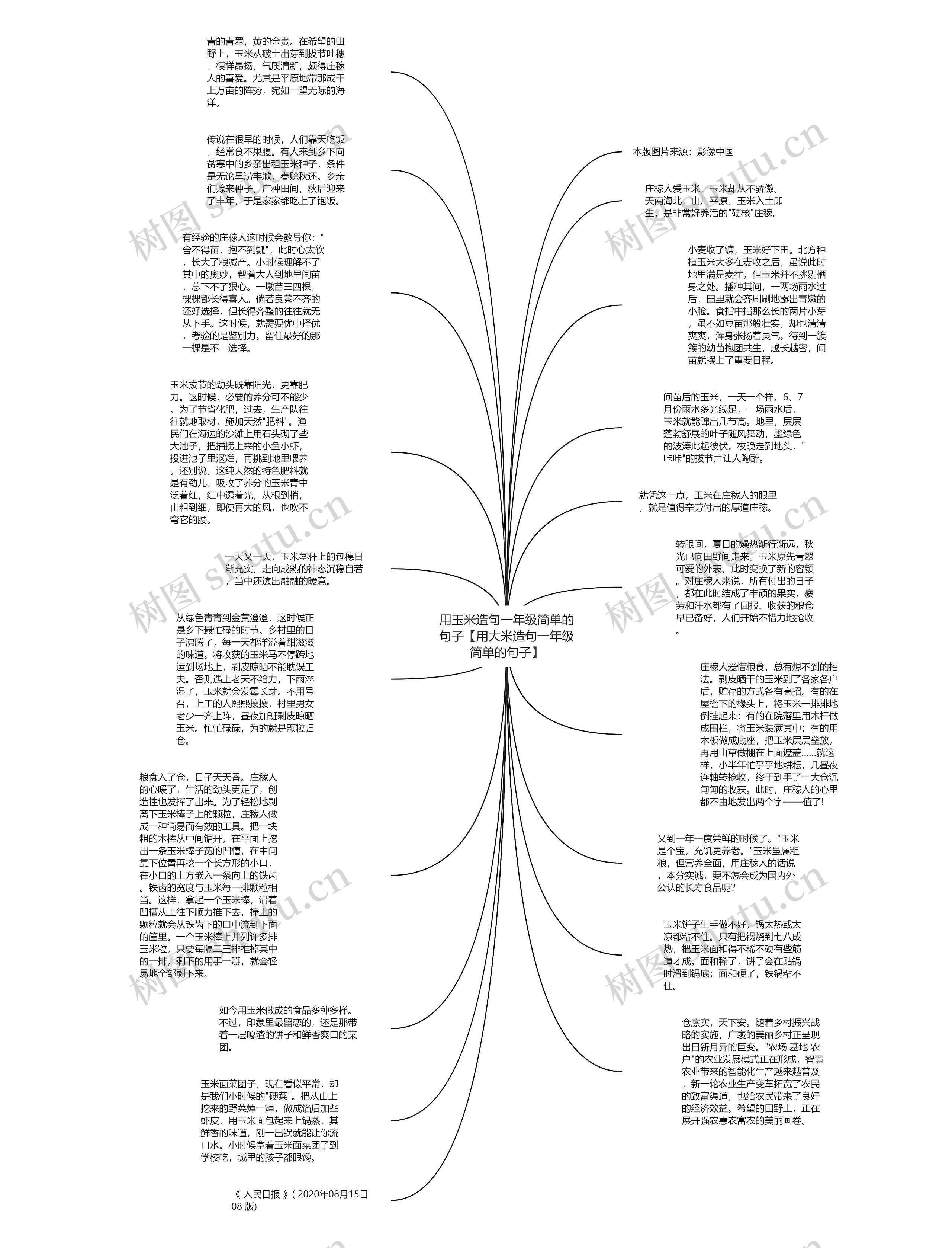 用玉米造句一年级简单的句子【用大米造句一年级简单的句子】思维导图
