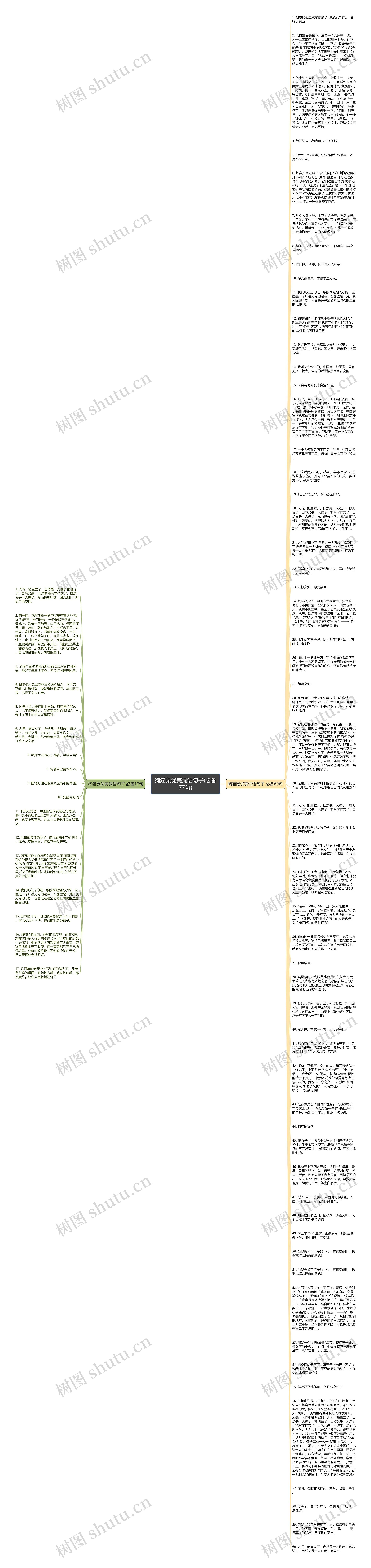 狗猫鼠优美词语句子(必备77句)思维导图