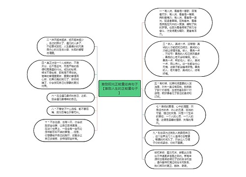 激励阳光正能量经典句子【激励人生的正能量句子】