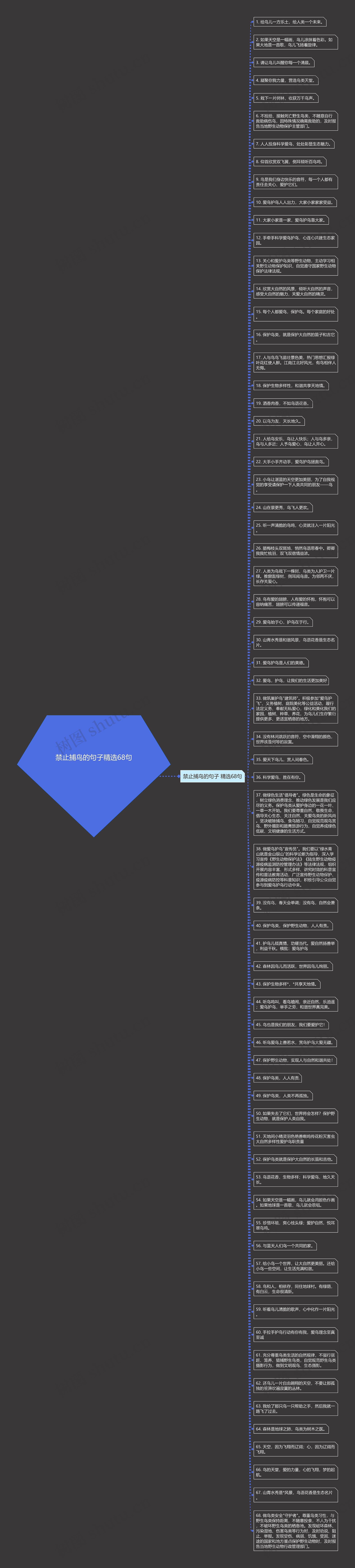 禁止捕鸟的句子精选68句思维导图