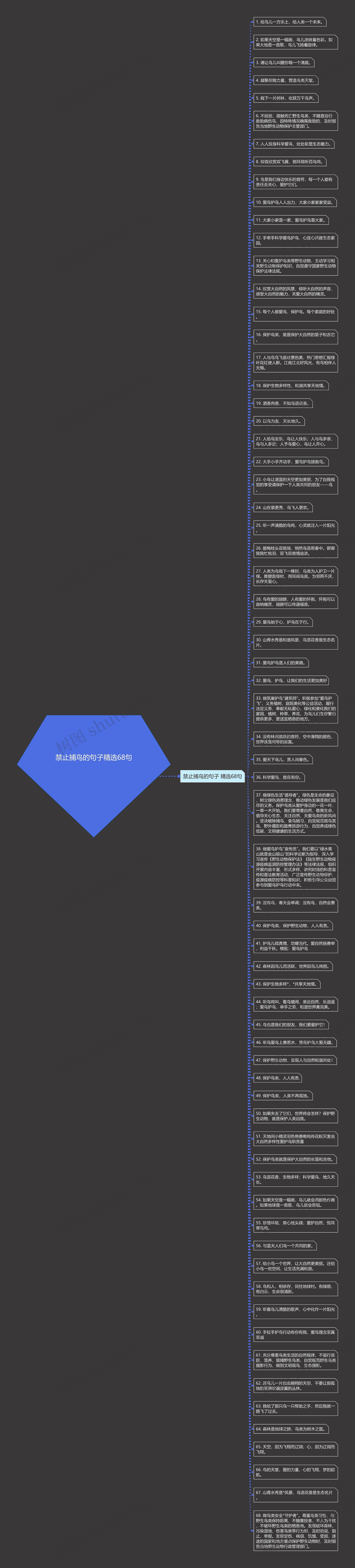 禁止捕鸟的句子精选68句思维导图高清图 禁止捕鸟的句子精选68句思维导图