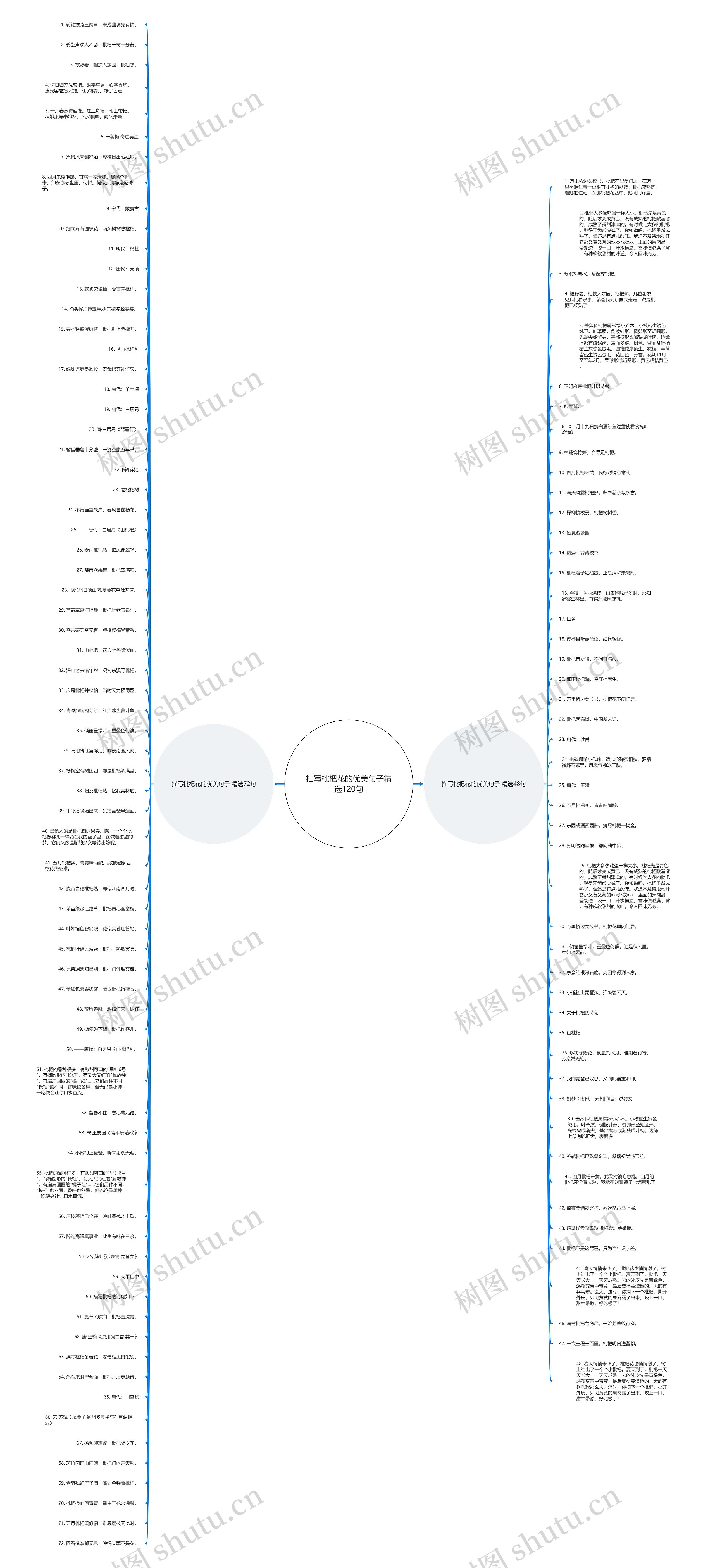 描写枇杷花的优美句子精选120句思维导图