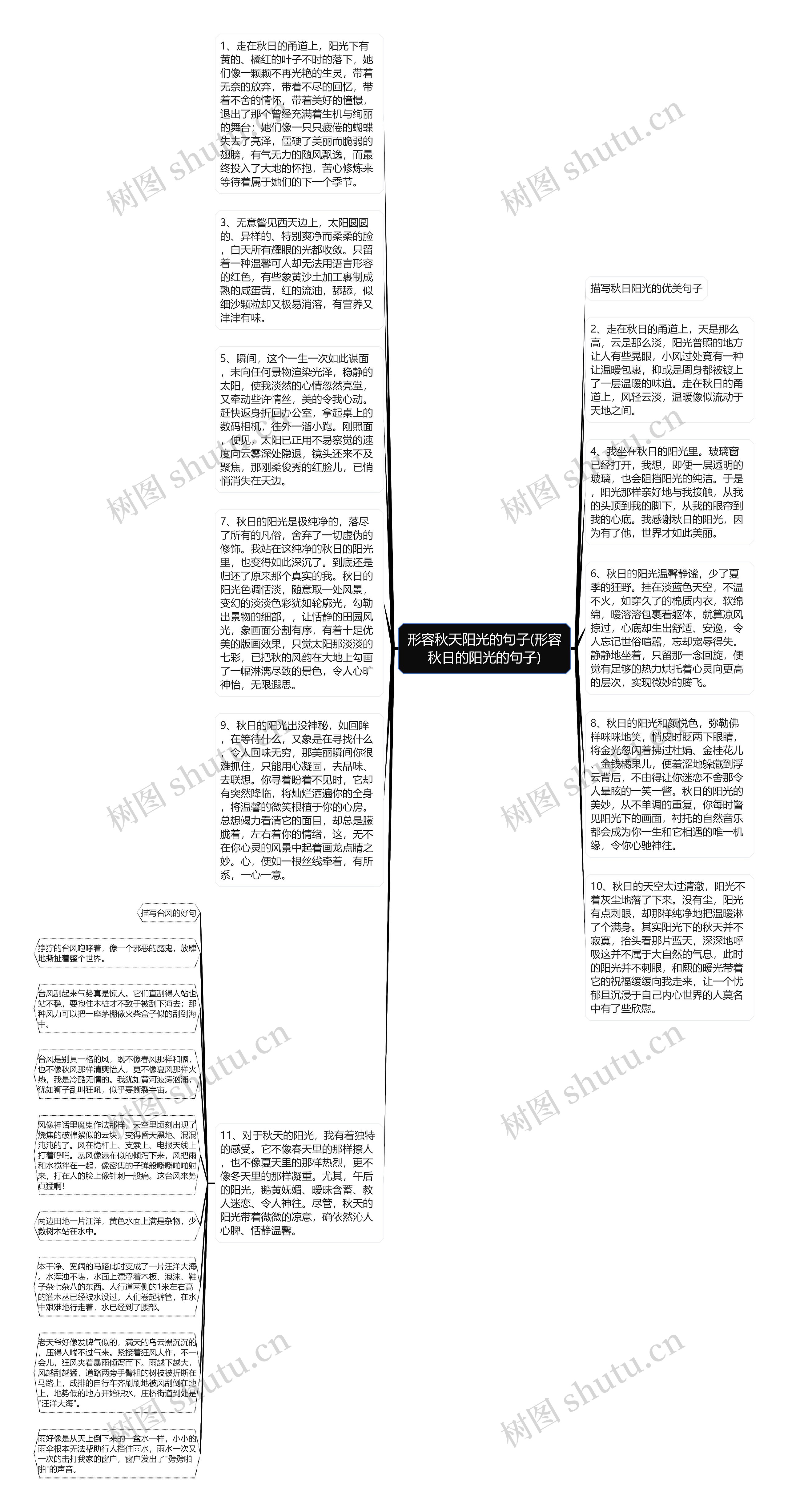 形容秋天阳光的句子(形容秋日的阳光的句子)