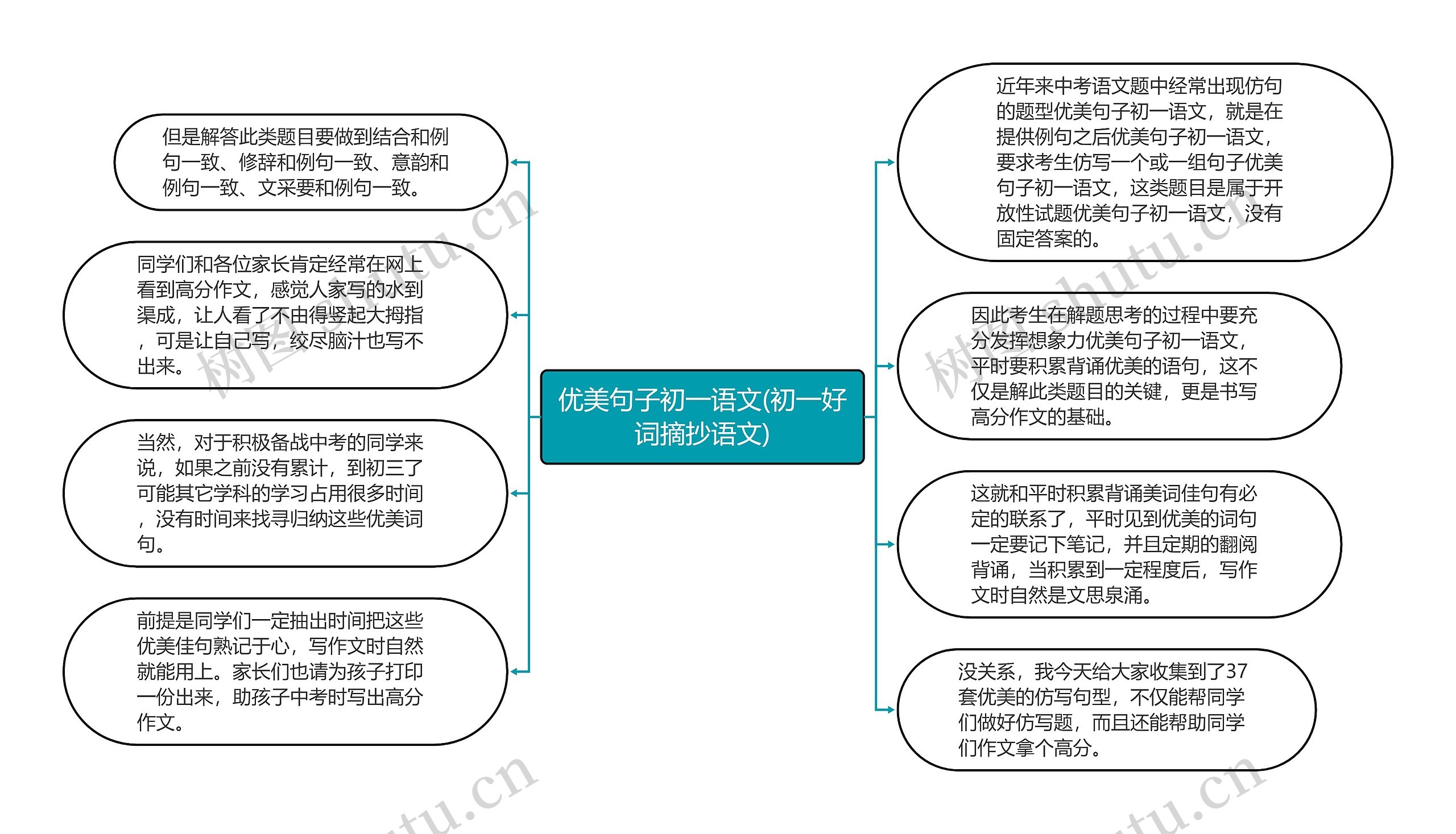 优美句子初一语文(初一好词摘抄语文)