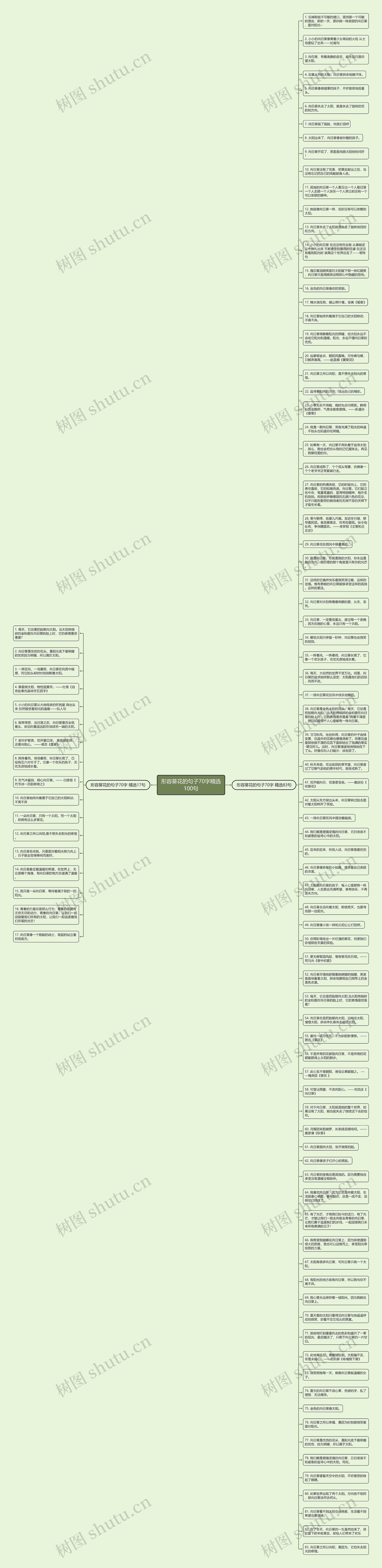 形容葵花的句子70字精选100句思维导图