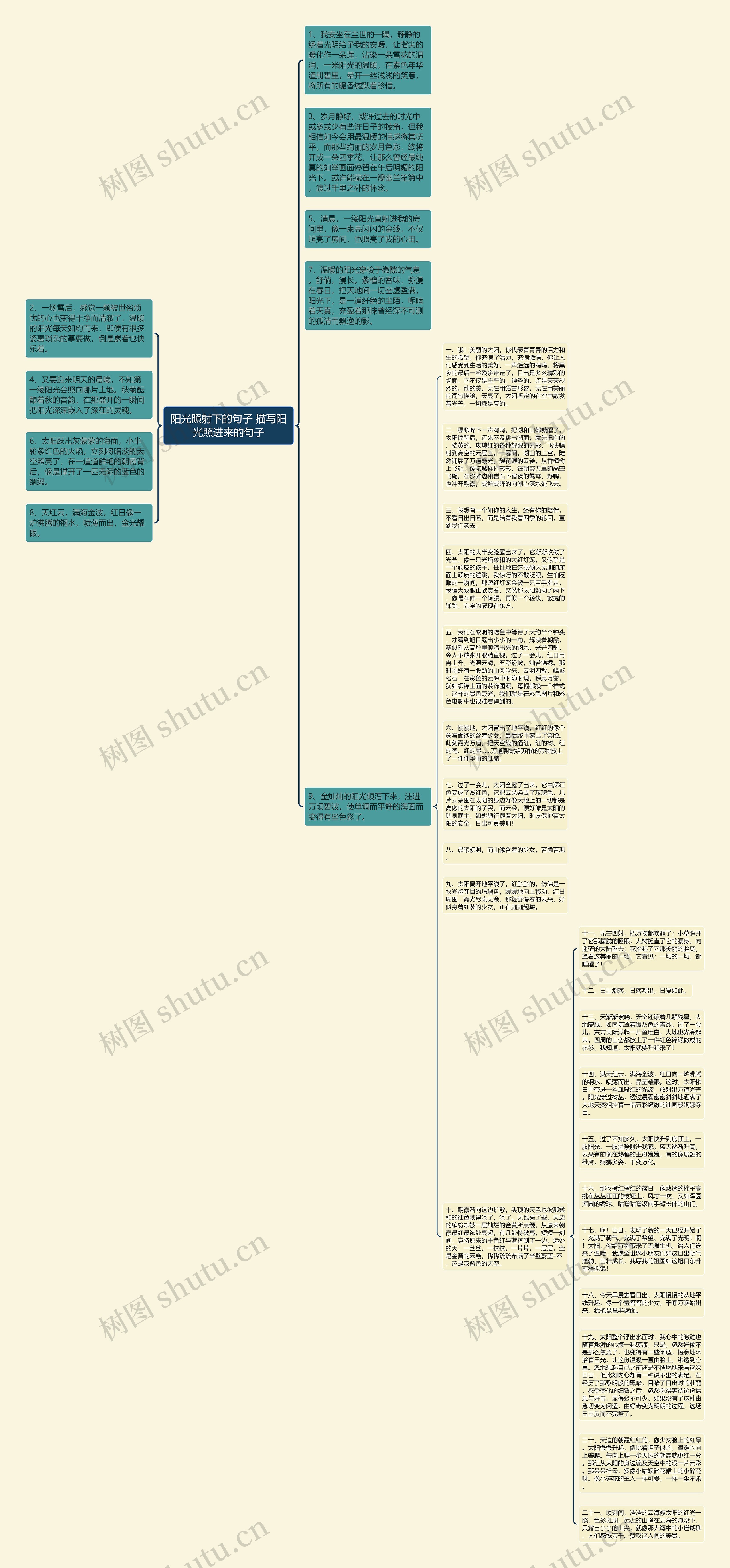 阳光照射下的句子 描写阳光照进来的句子思维导图