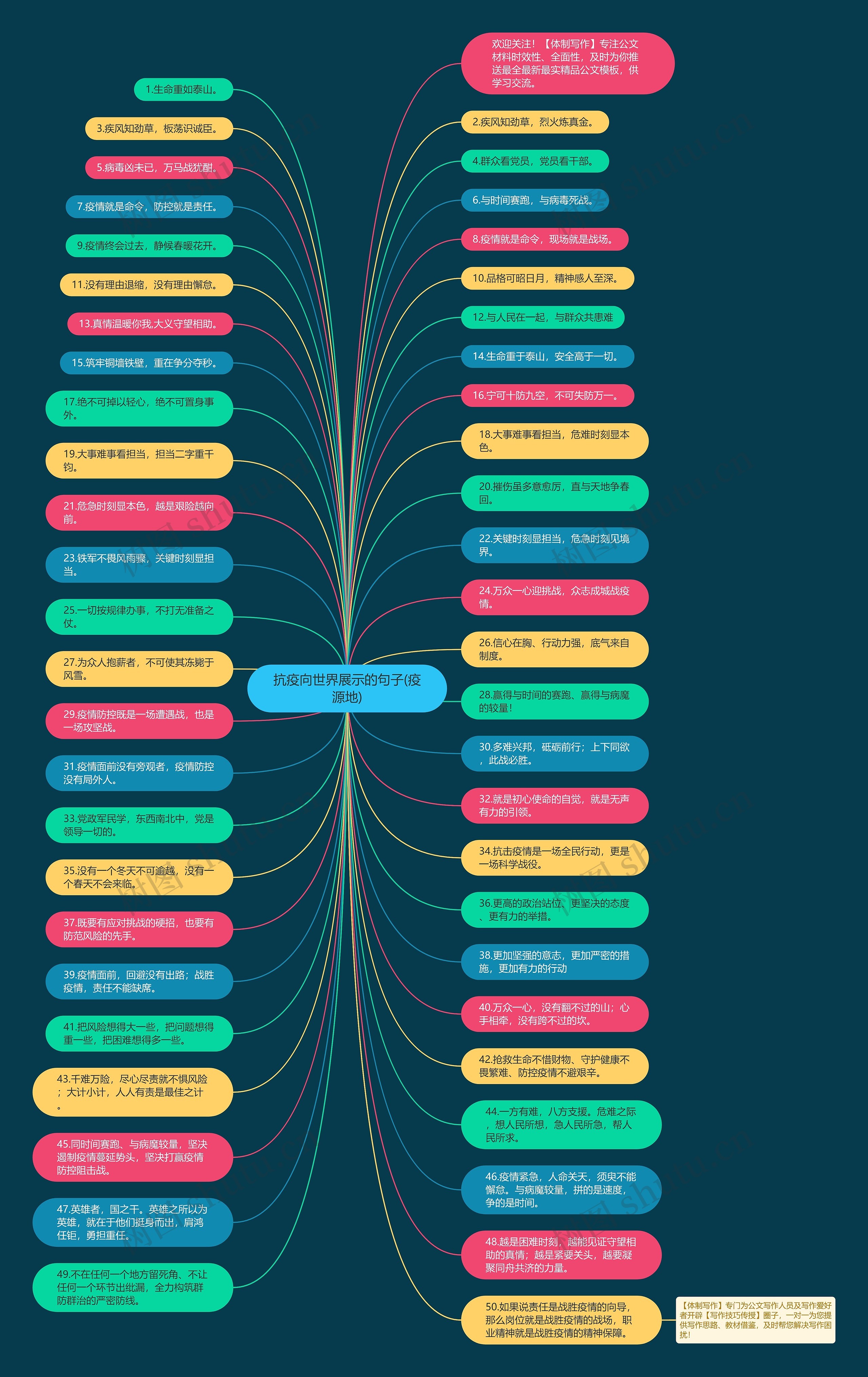 抗疫向世界展示的句子(疫源地)思维导图