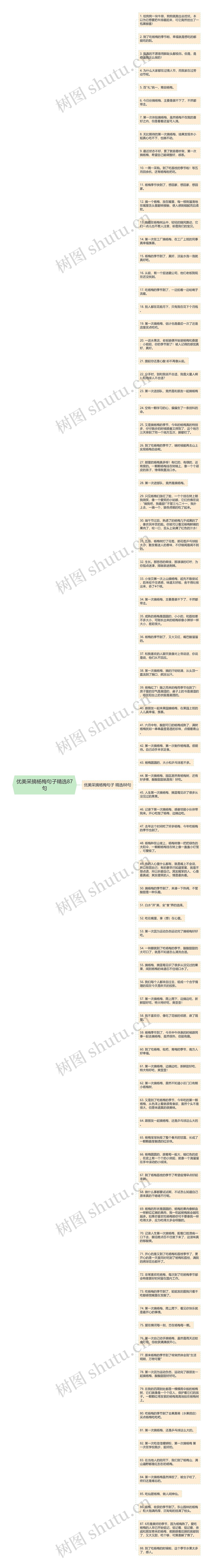 优美采摘杨梅句子精选87句思维导图