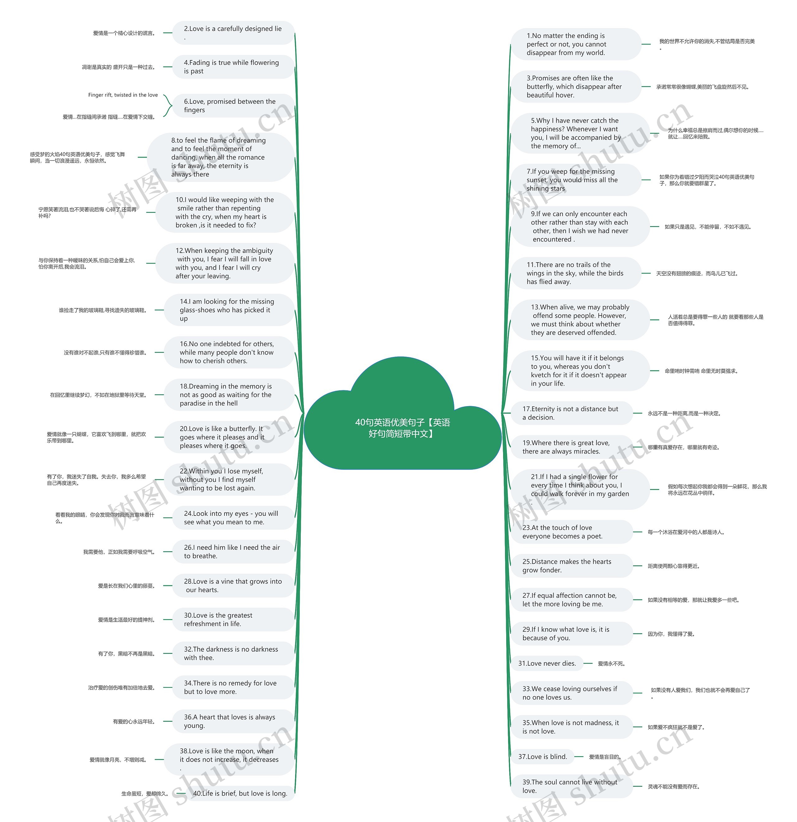 40句英语优美句子【英语好句简短带中文】思维导图