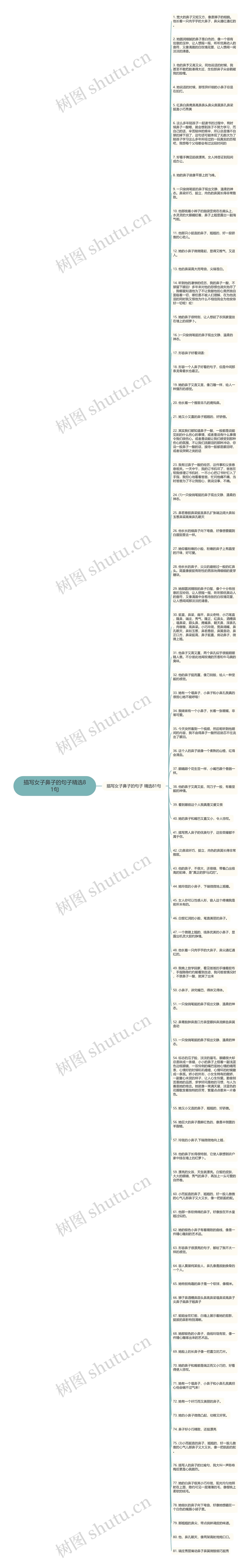 描写女子鼻子的句子精选81句思维导图