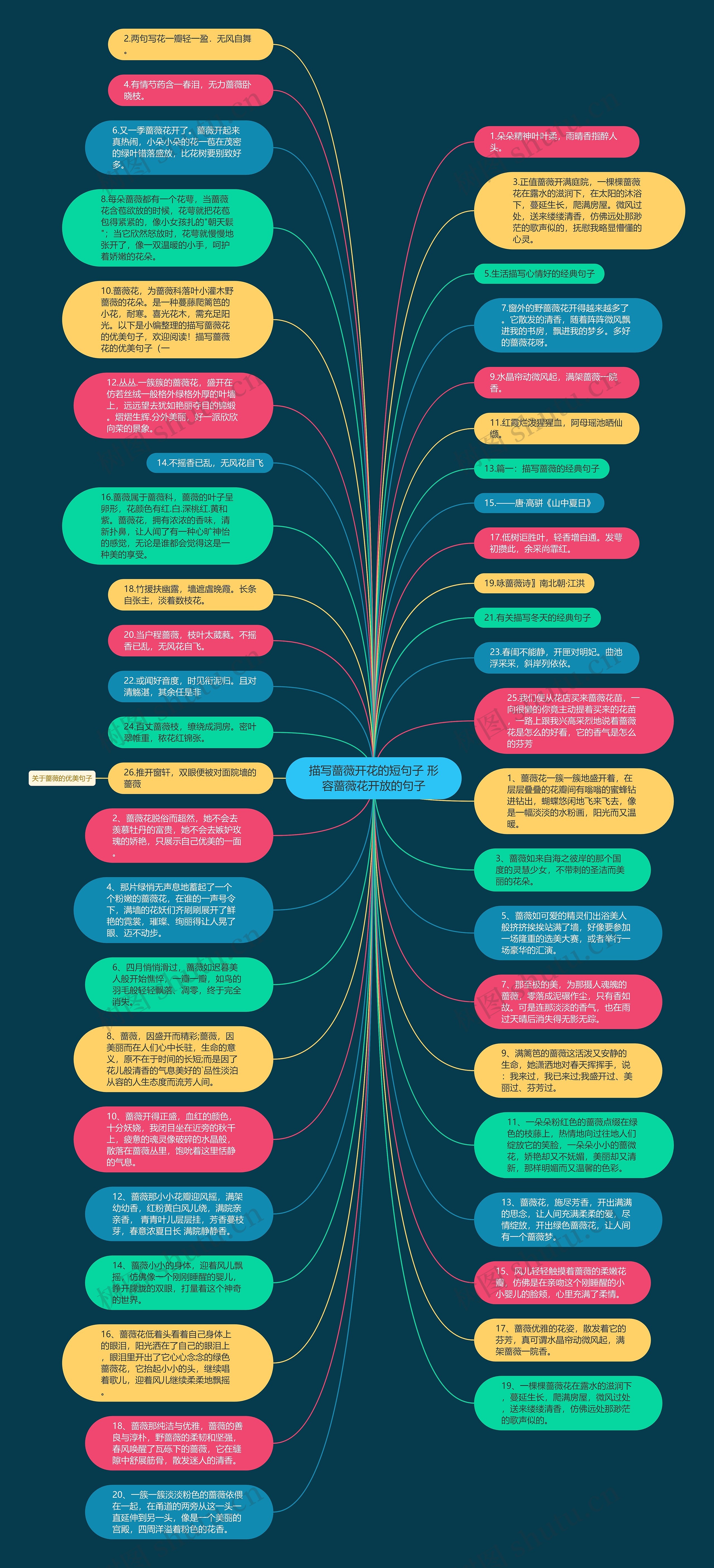 描写蔷薇开花的短句子 形容蔷薇花开放的句子思维导图