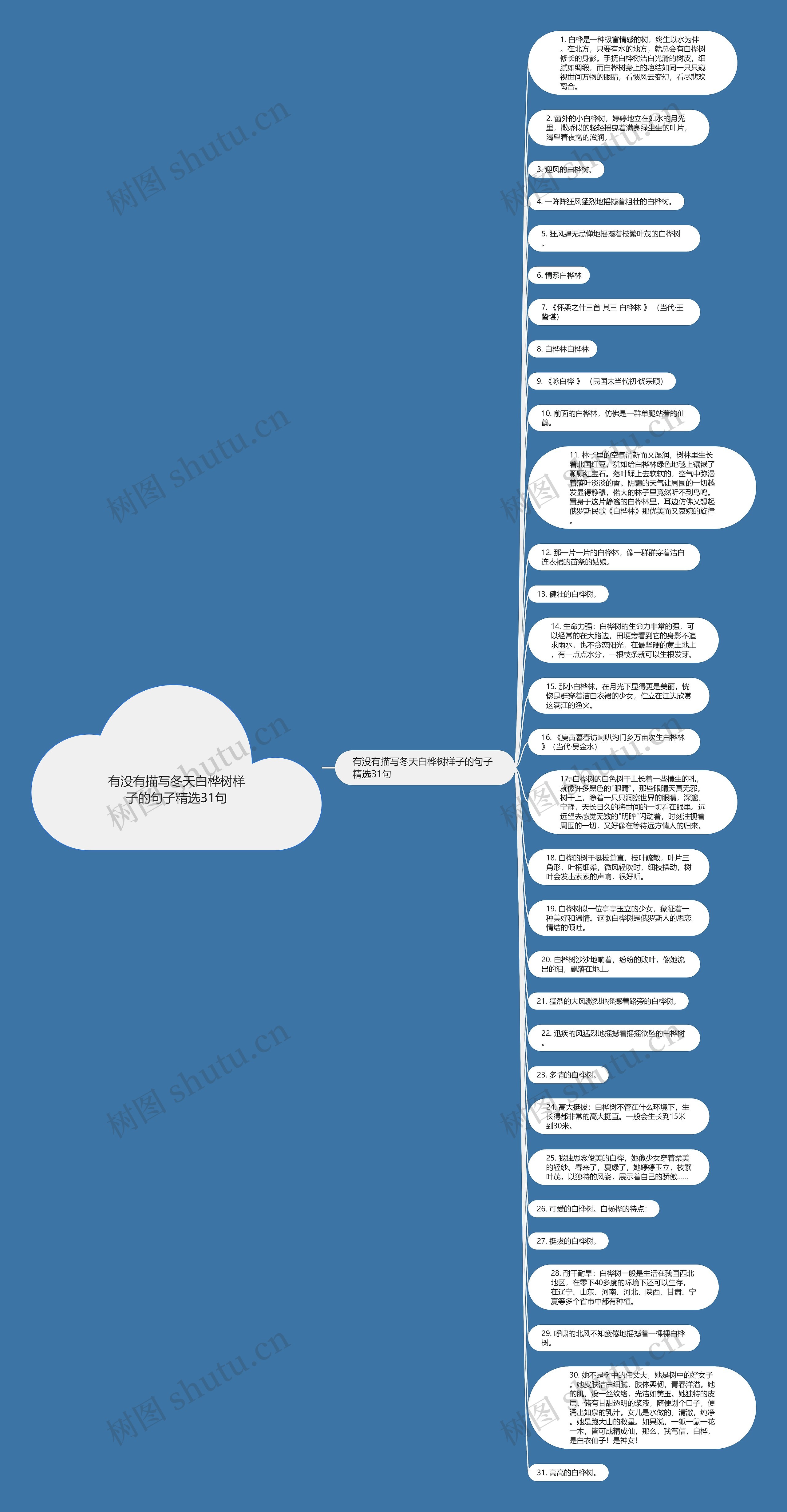 有没有描写冬天白桦树样子的句子精选31句思维导图