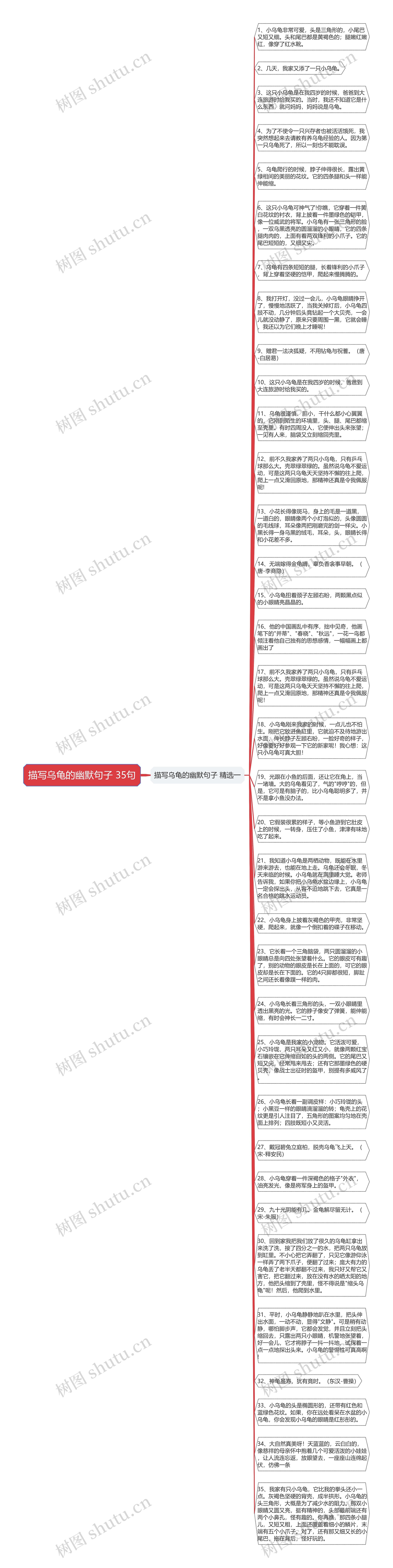 描写乌龟的幽默句子 35句思维导图