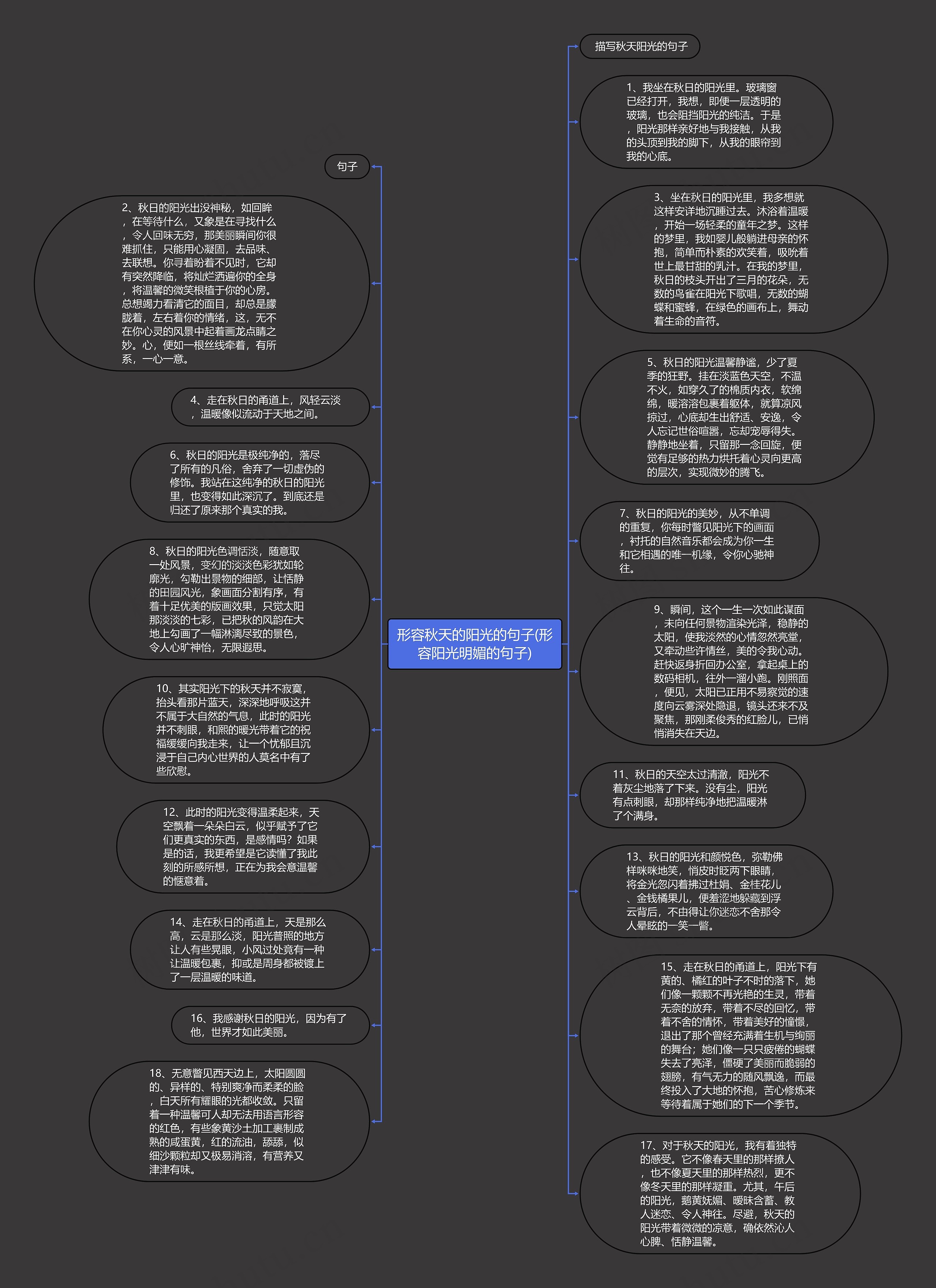 形容秋天的阳光的句子(形容阳光明媚的句子)思维导图