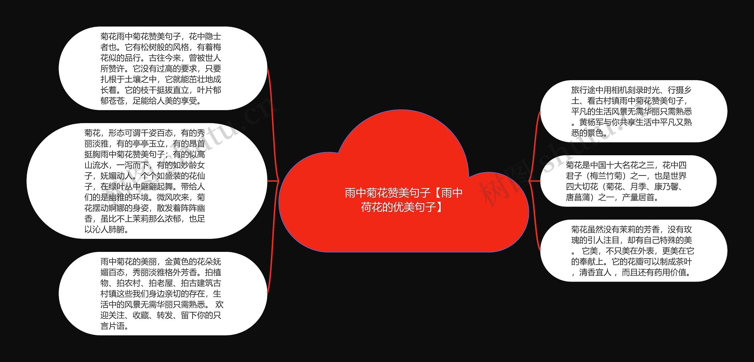 雨中菊花赞美句子【雨中荷花的优美句子】思维导图