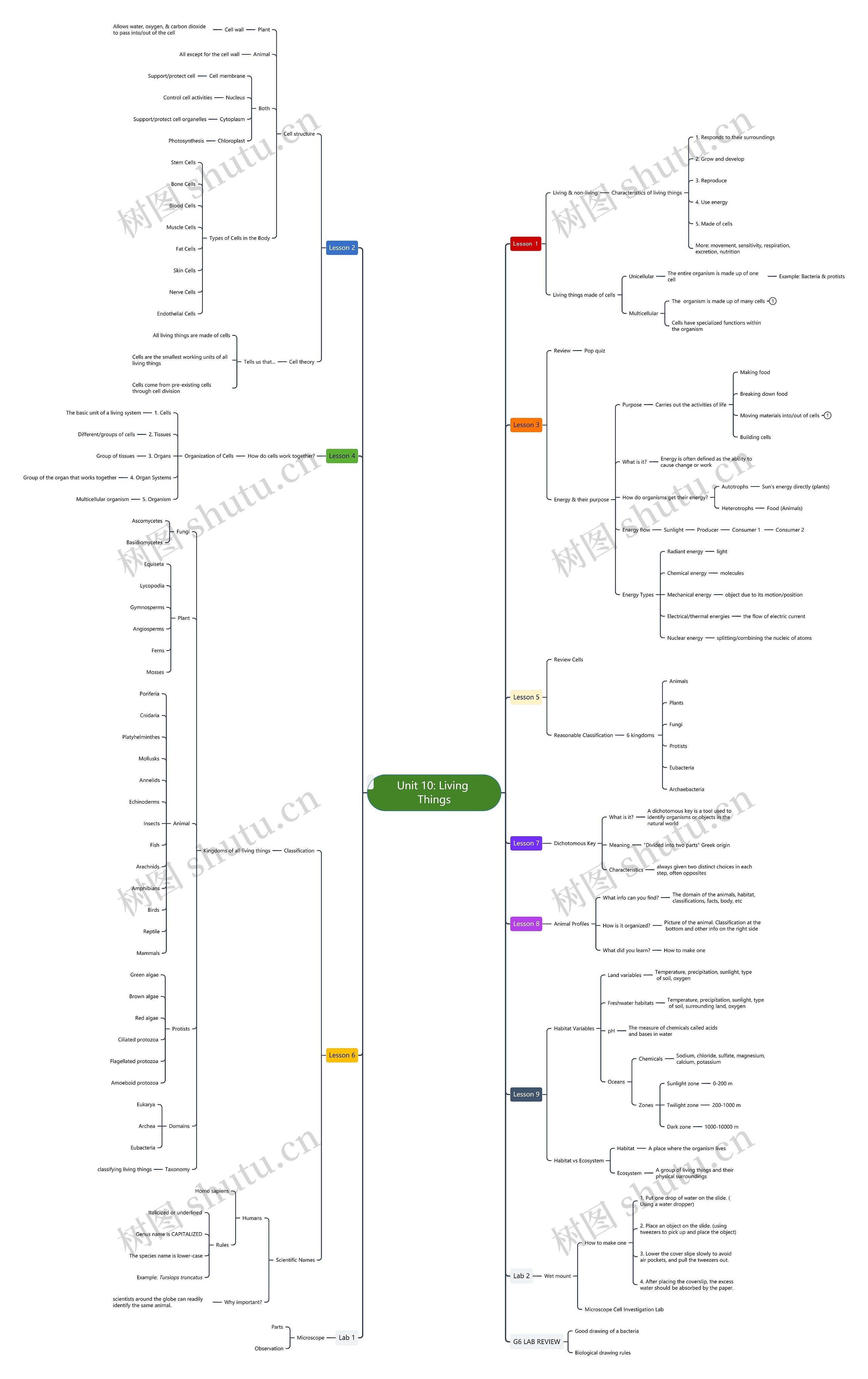 Unit 10: Living Things思维导图高清图 Unit 10: Living Things思维导图