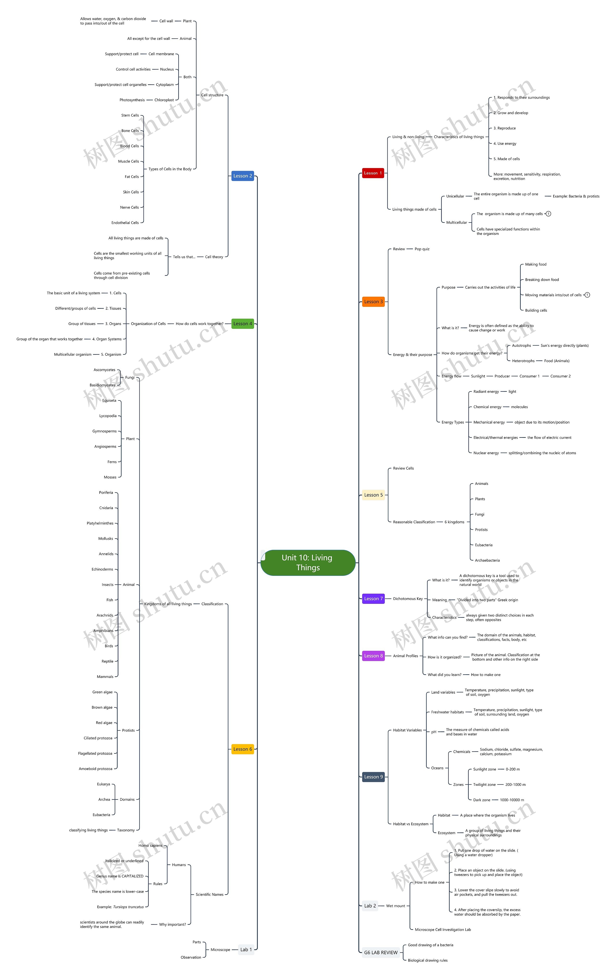 Unit 10: Living Things思维导图