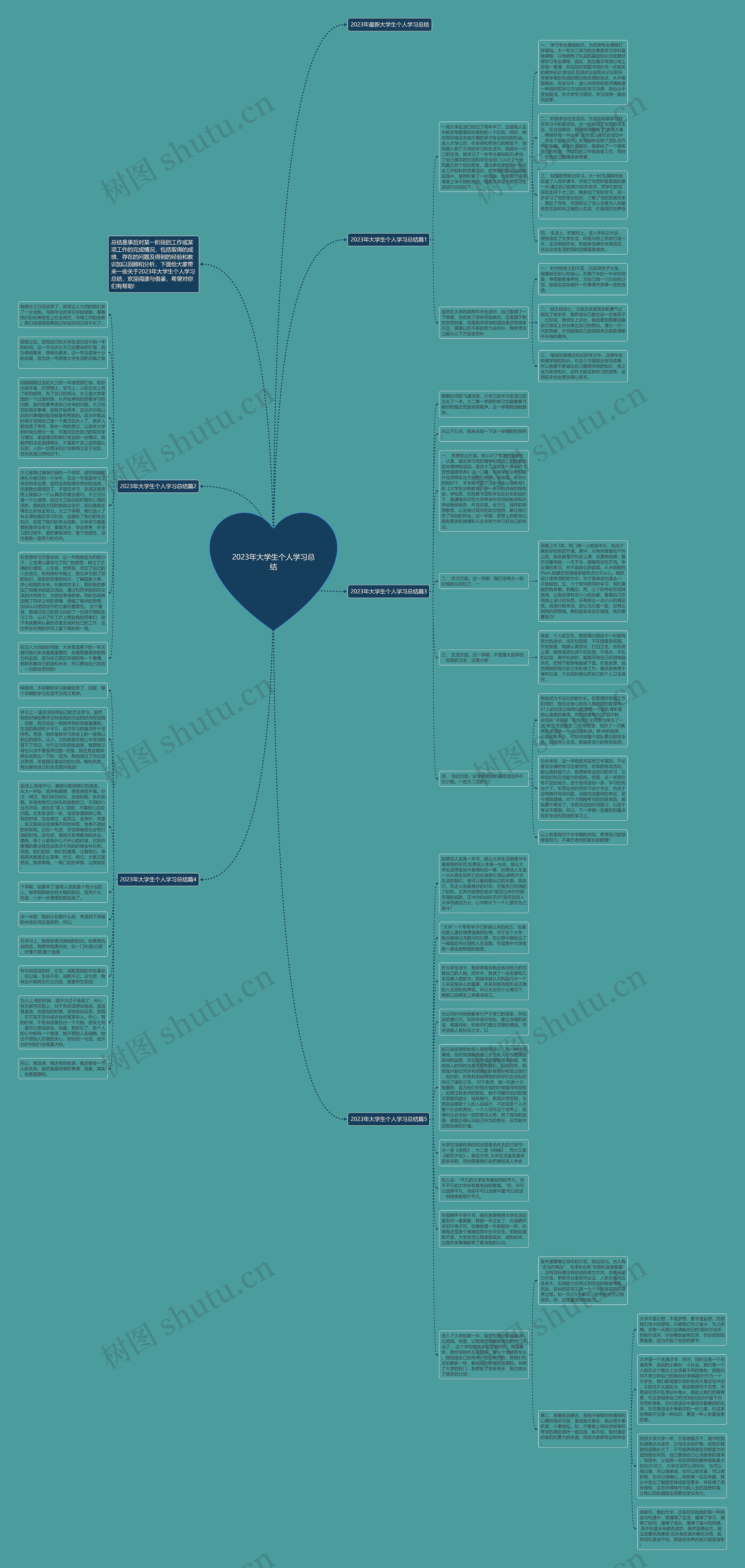 2023年大学生个人学习总结思维导图