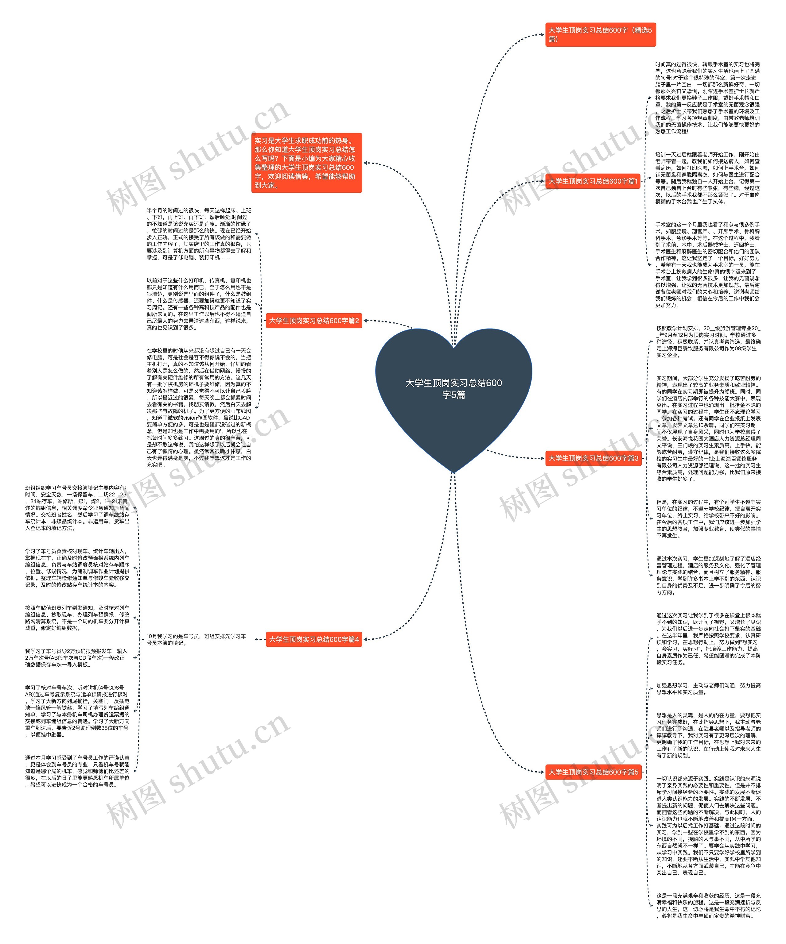 大学生顶岗实习总结600字5篇思维导图