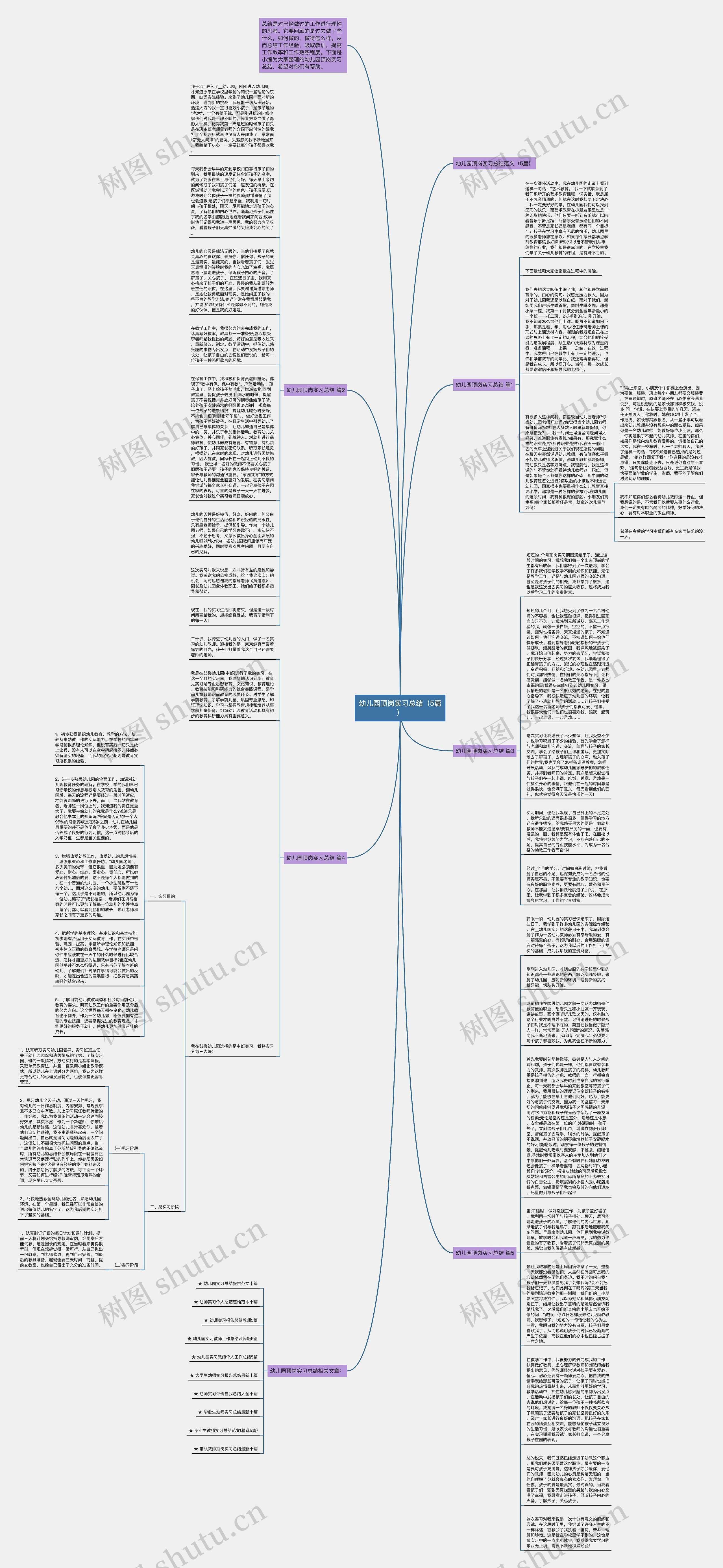 幼儿园顶岗实习总结（5篇）思维导图