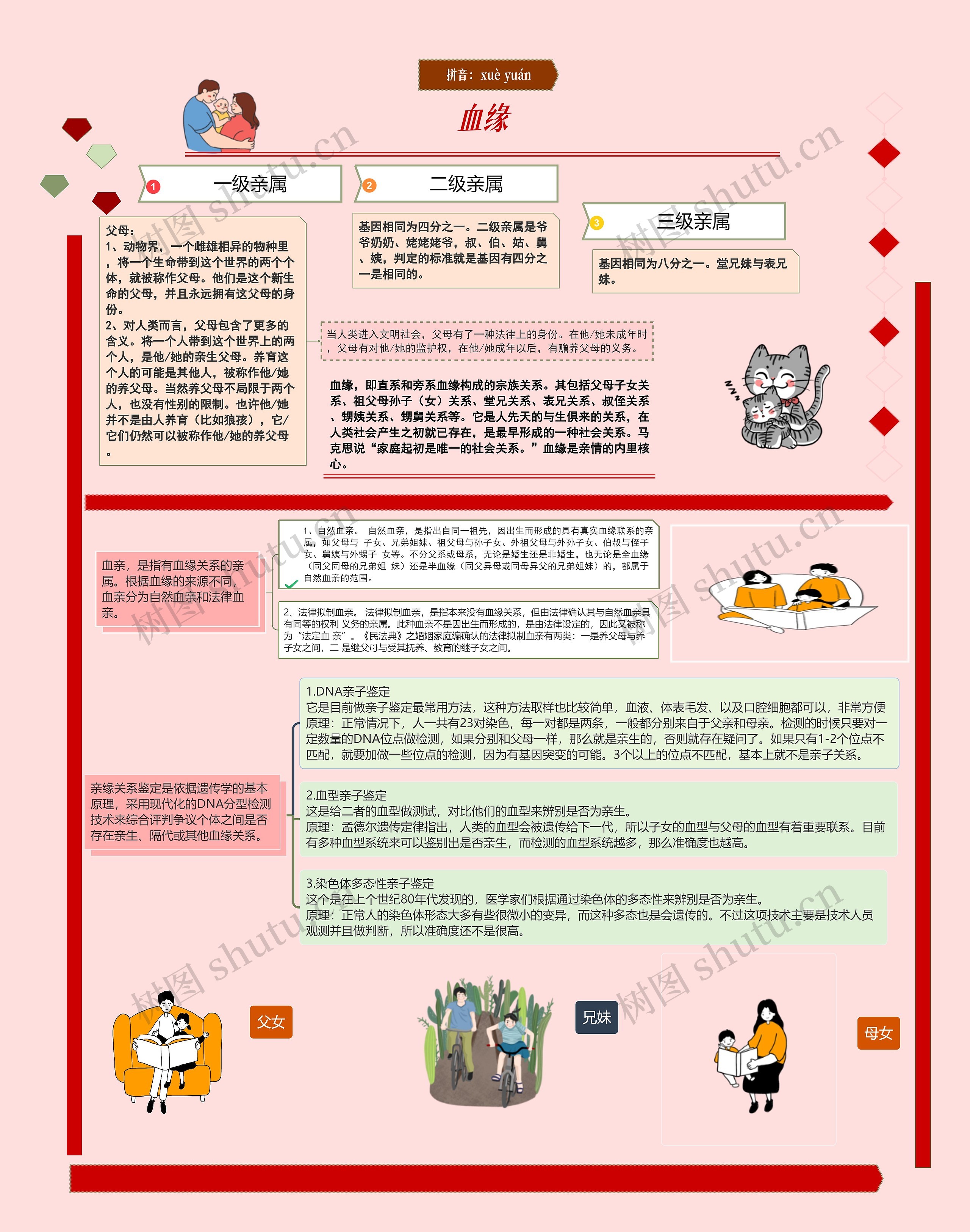 血缘思维导图高清图 血缘思维导图