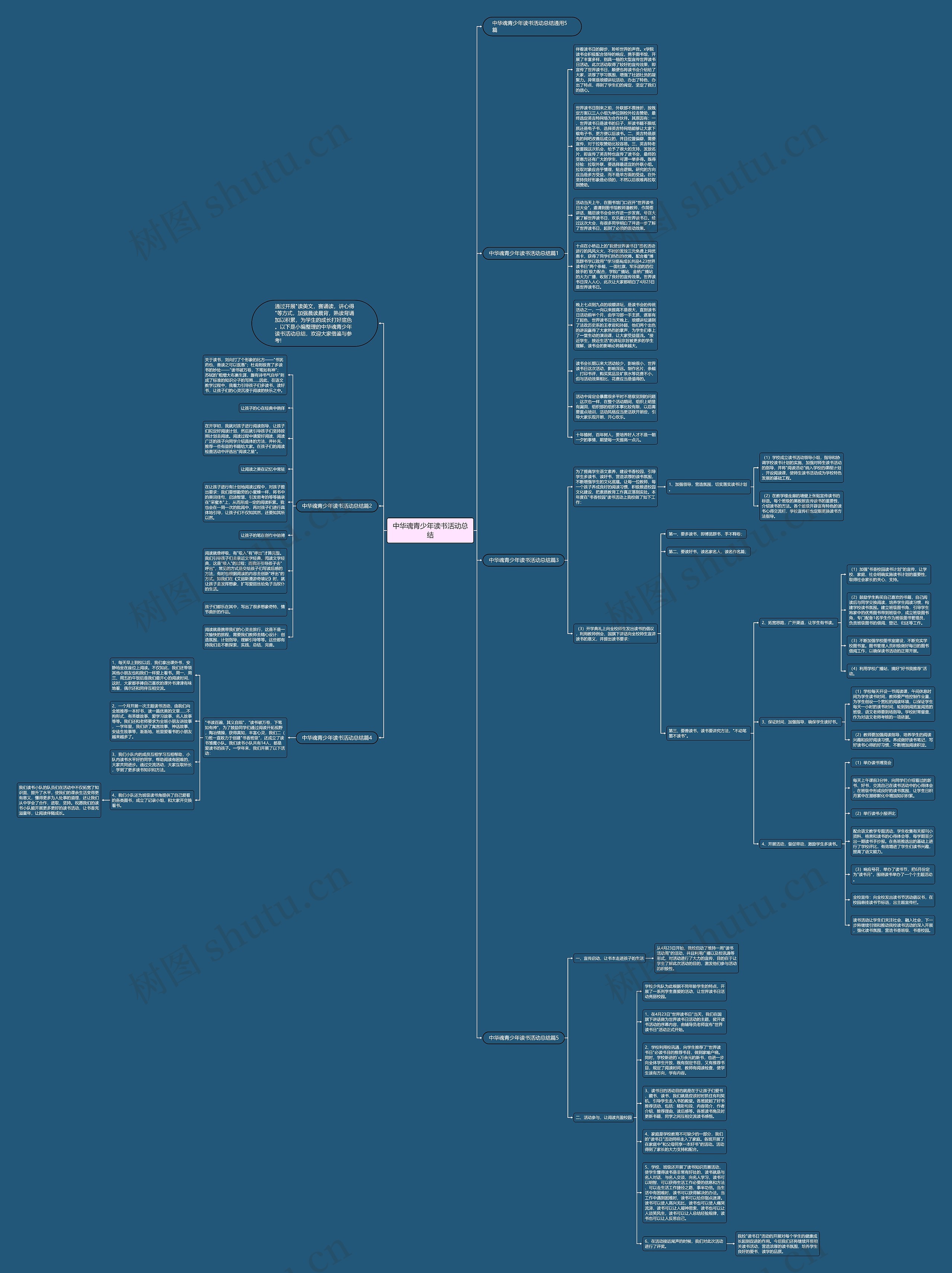 中华魂青少年读书活动总结思维导图