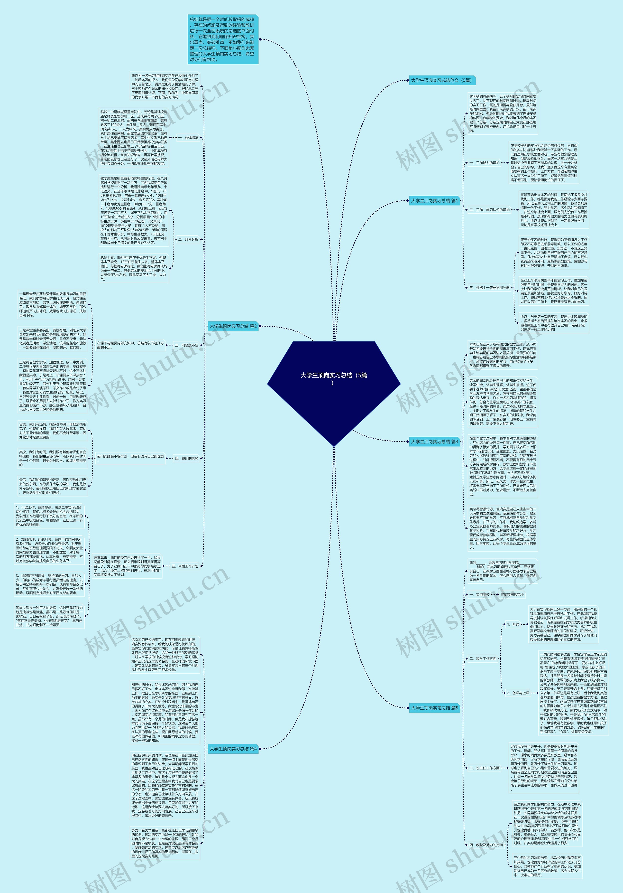 大学生顶岗实习总结（5篇）思维导图