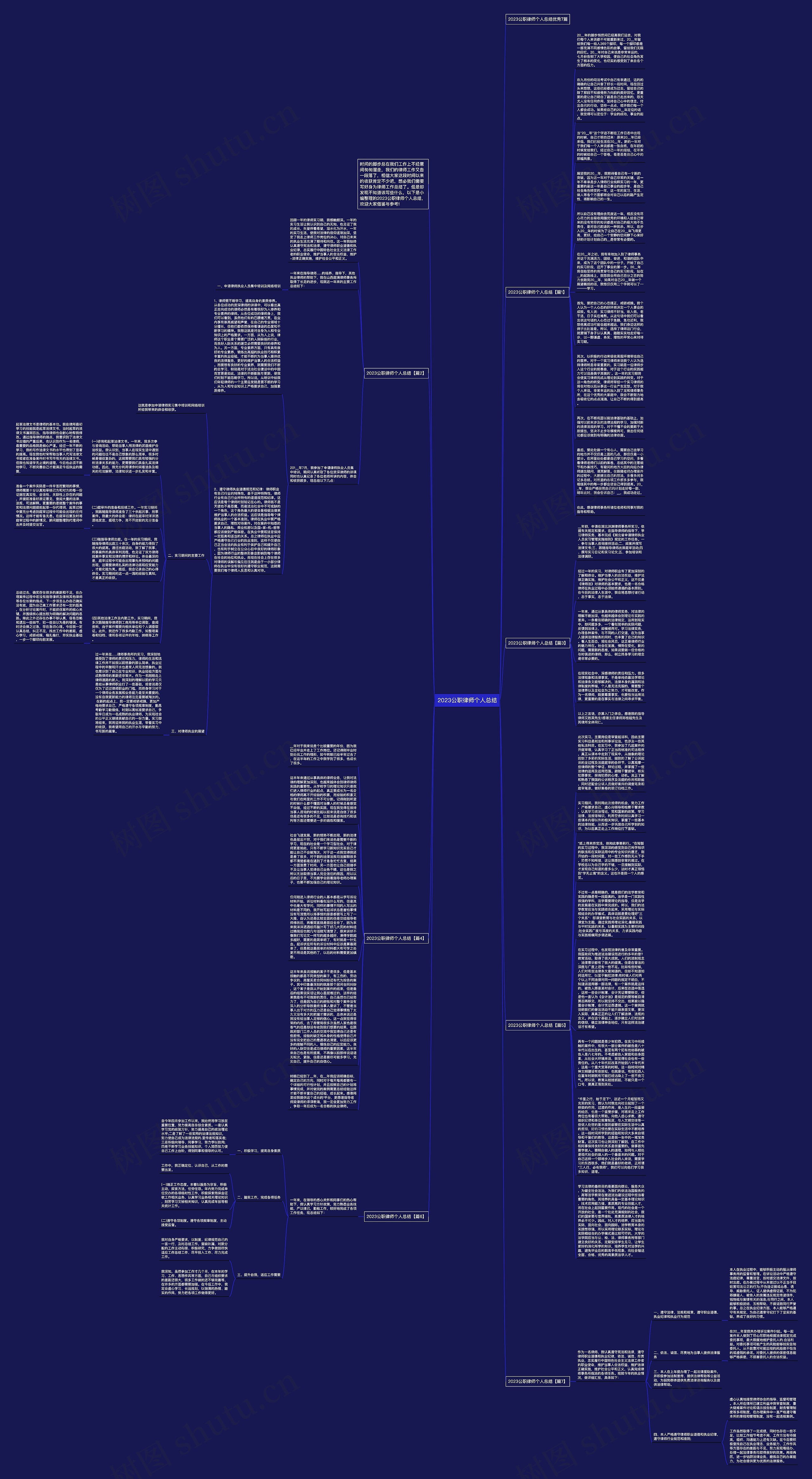2023公职律师个人总结思维导图