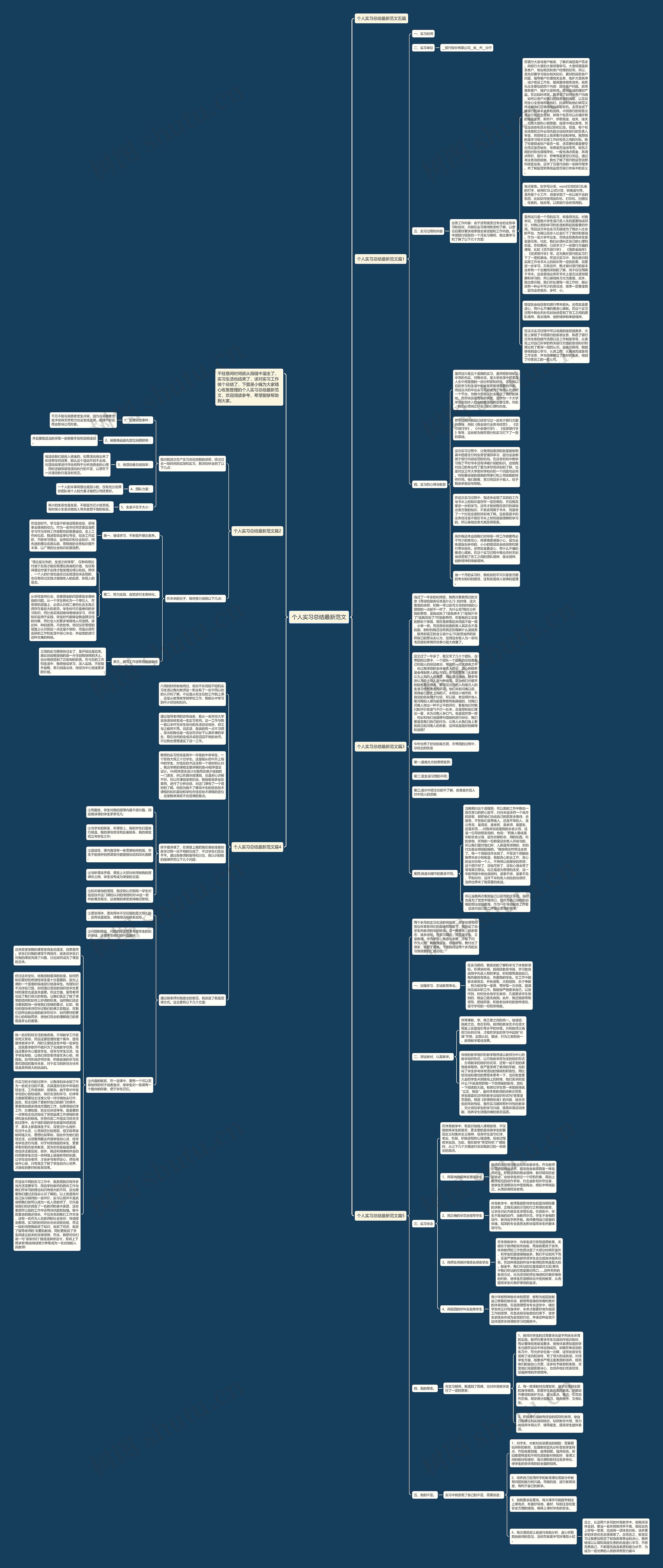个人实习总结最新范文思维导图