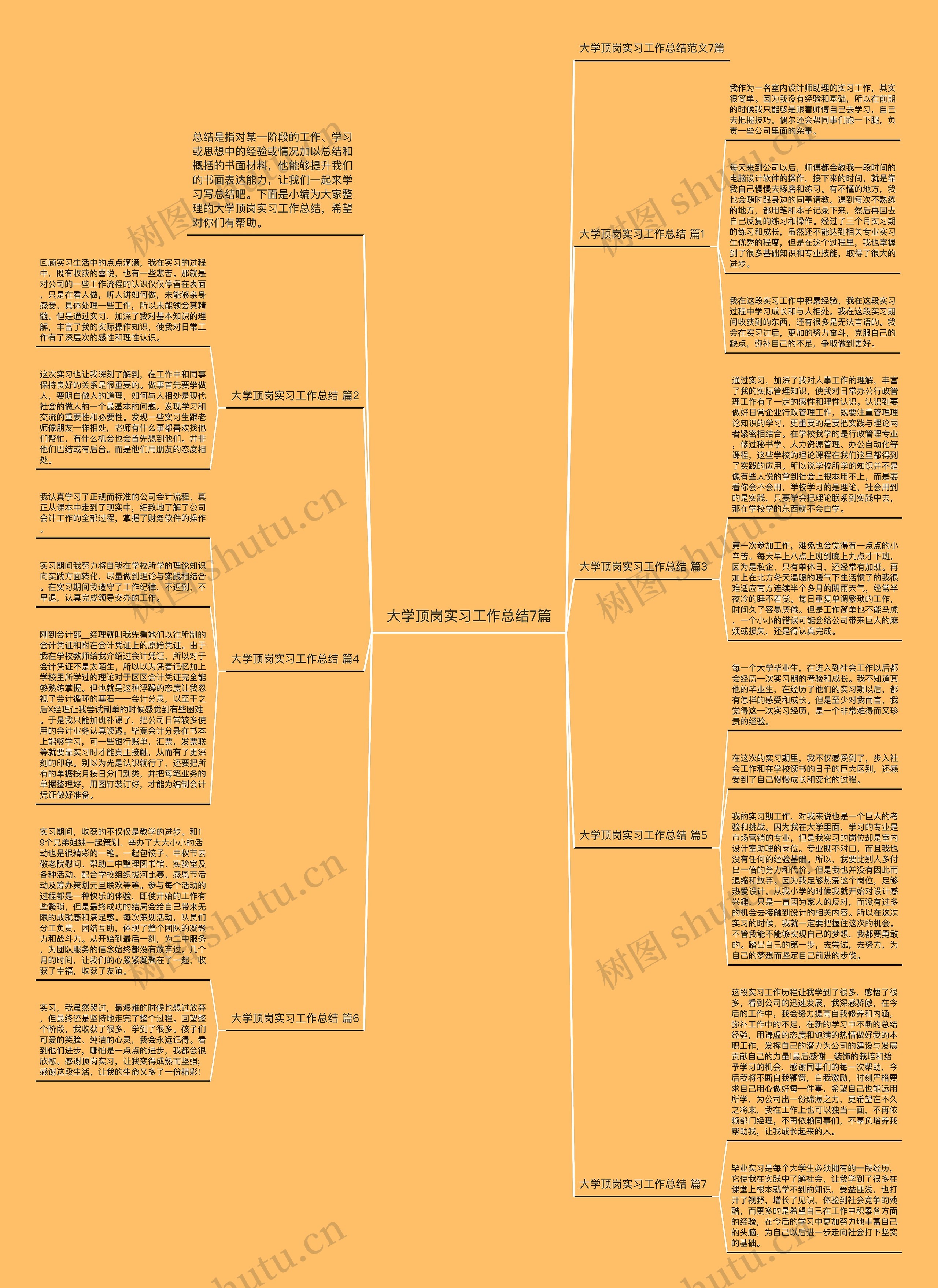 大学顶岗实习工作总结7篇