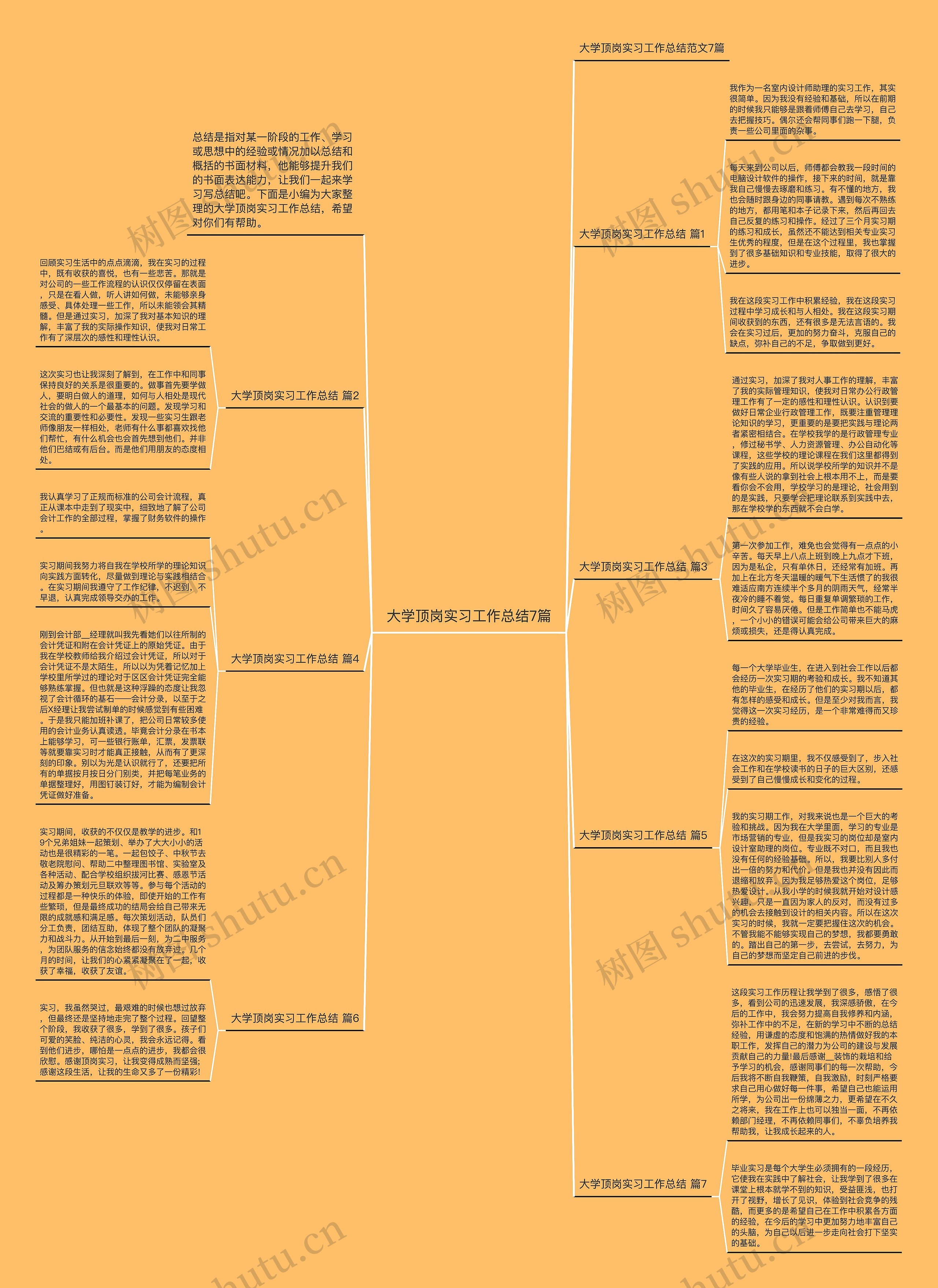 大学顶岗实习工作总结7篇思维导图