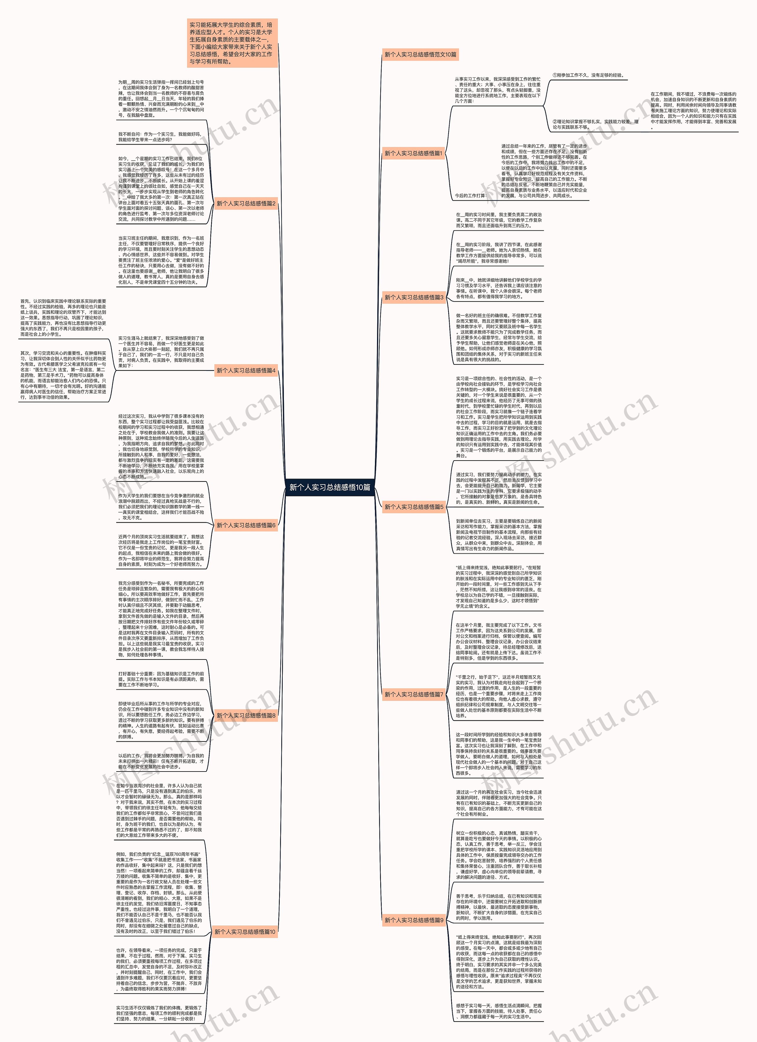 新个人实习总结感悟10篇思维导图