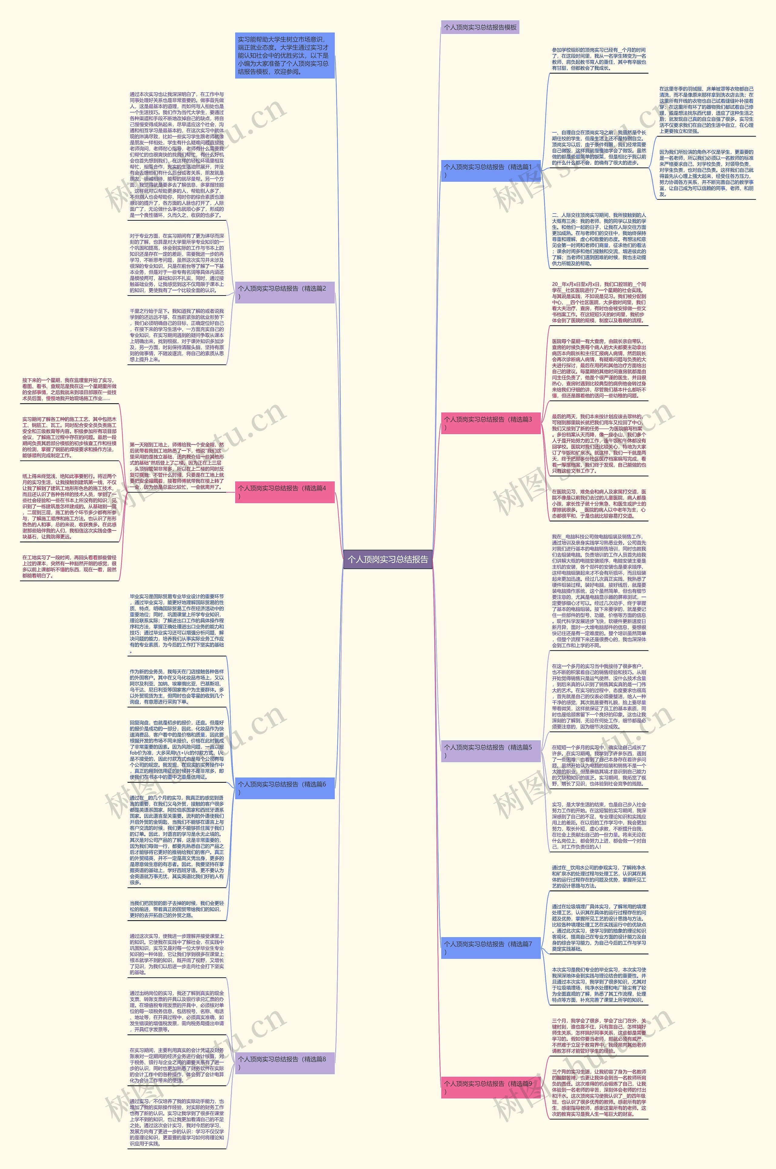 个人顶岗实习总结报告思维导图
