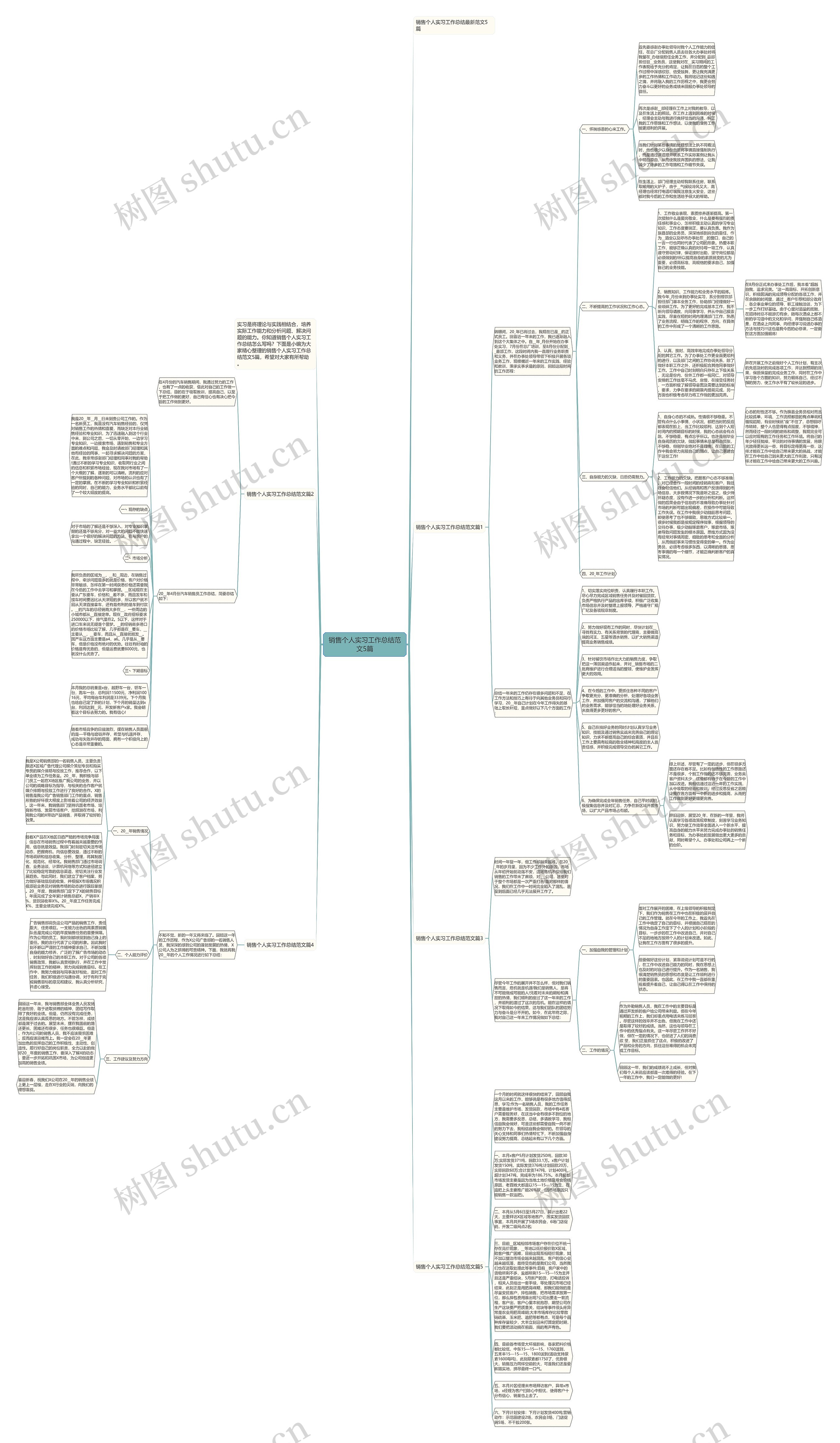销售个人实习工作总结范文5篇思维导图
