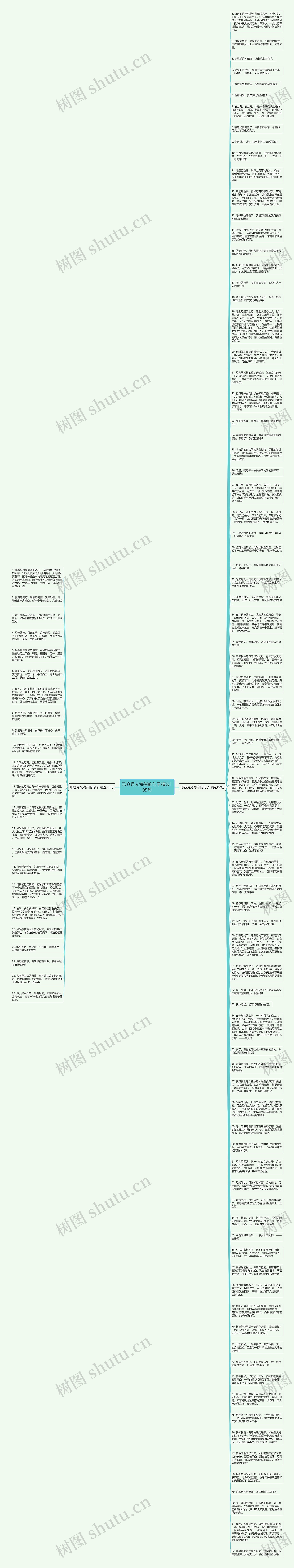 形容月光海岸的句子精选105句