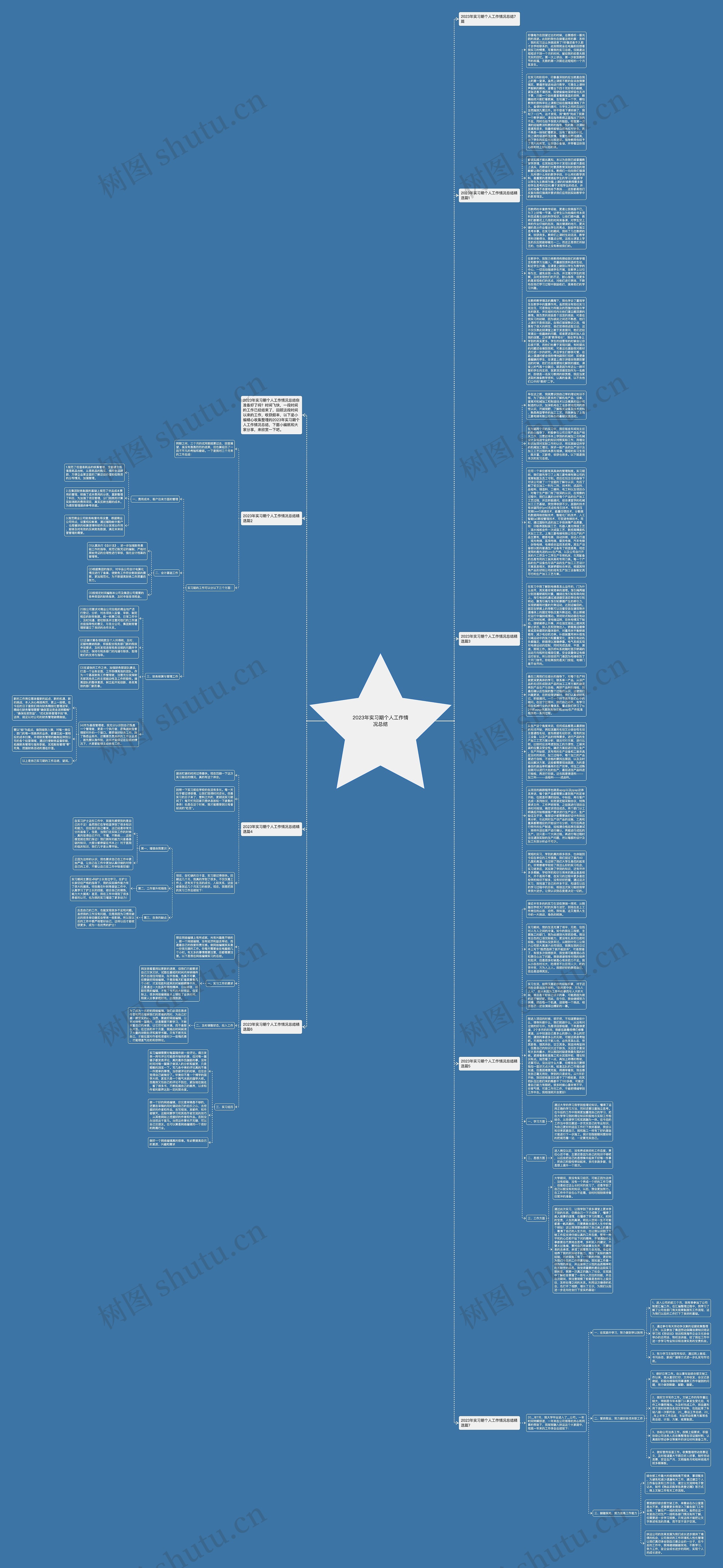 2023年实习期个人工作情况总结思维导图