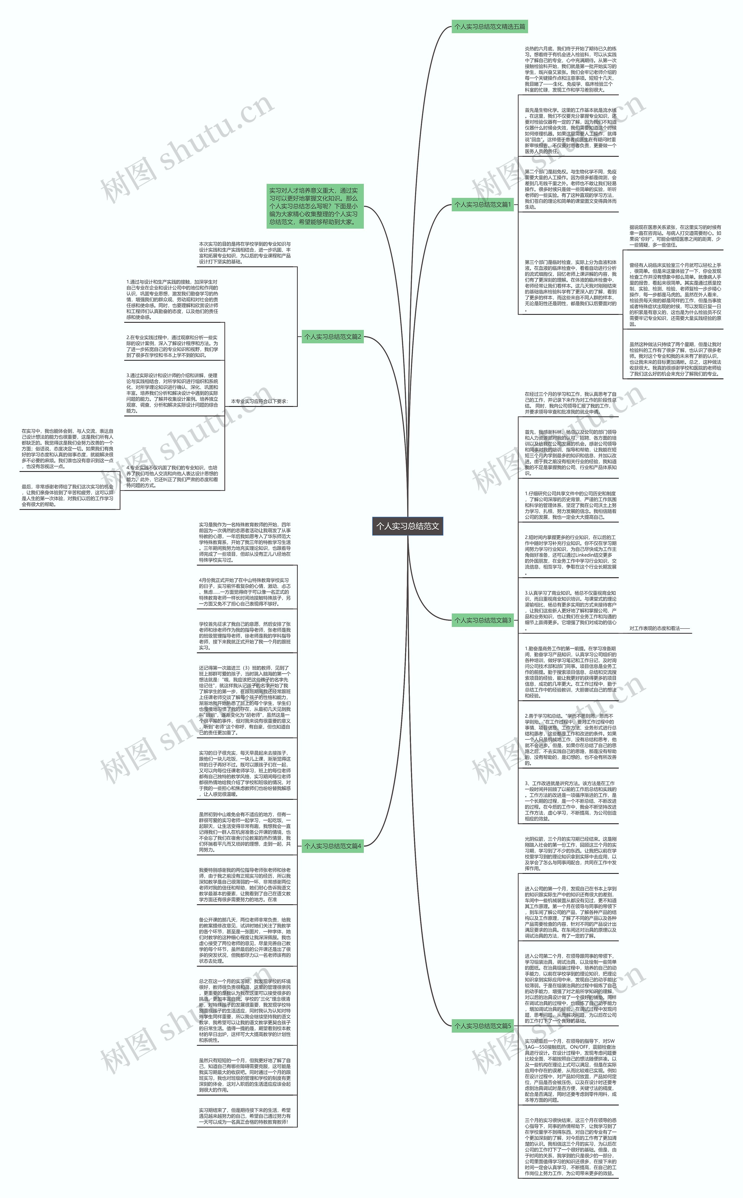 个人实习总结范文思维导图