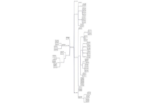 邮政员工个人工作总结2022 邮政员工个人工作总结2022