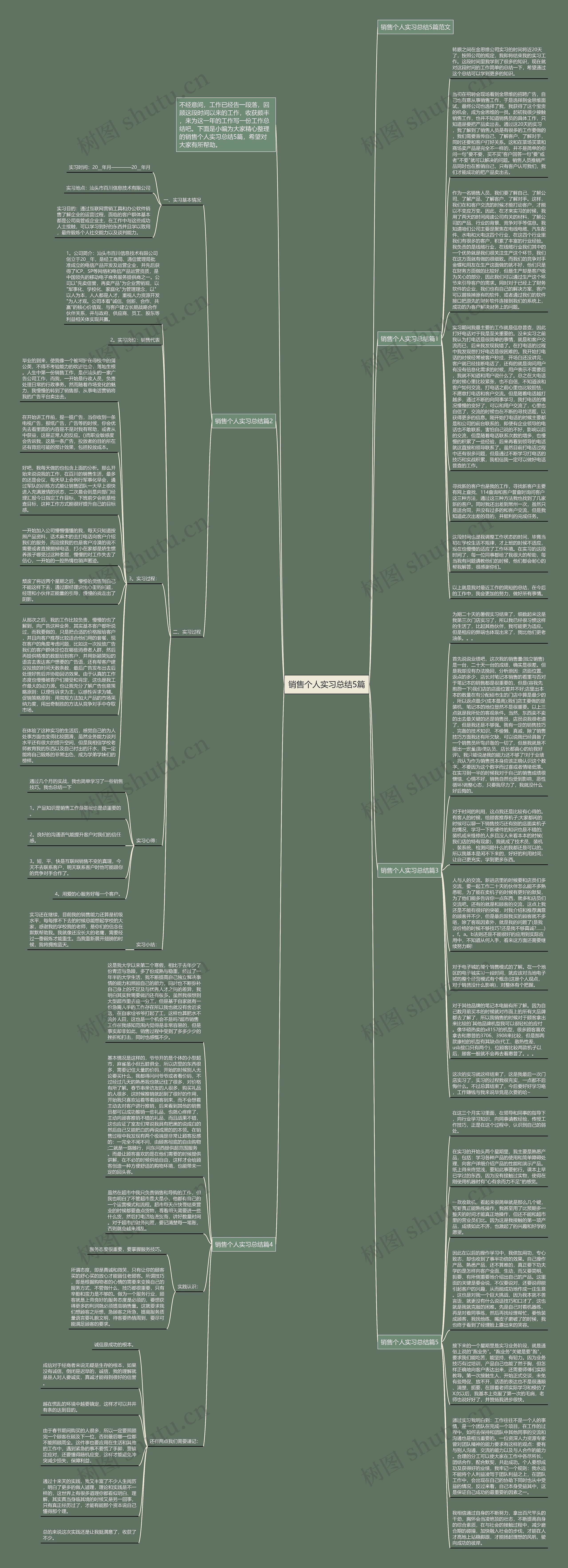 销售个人实习总结5篇思维导图