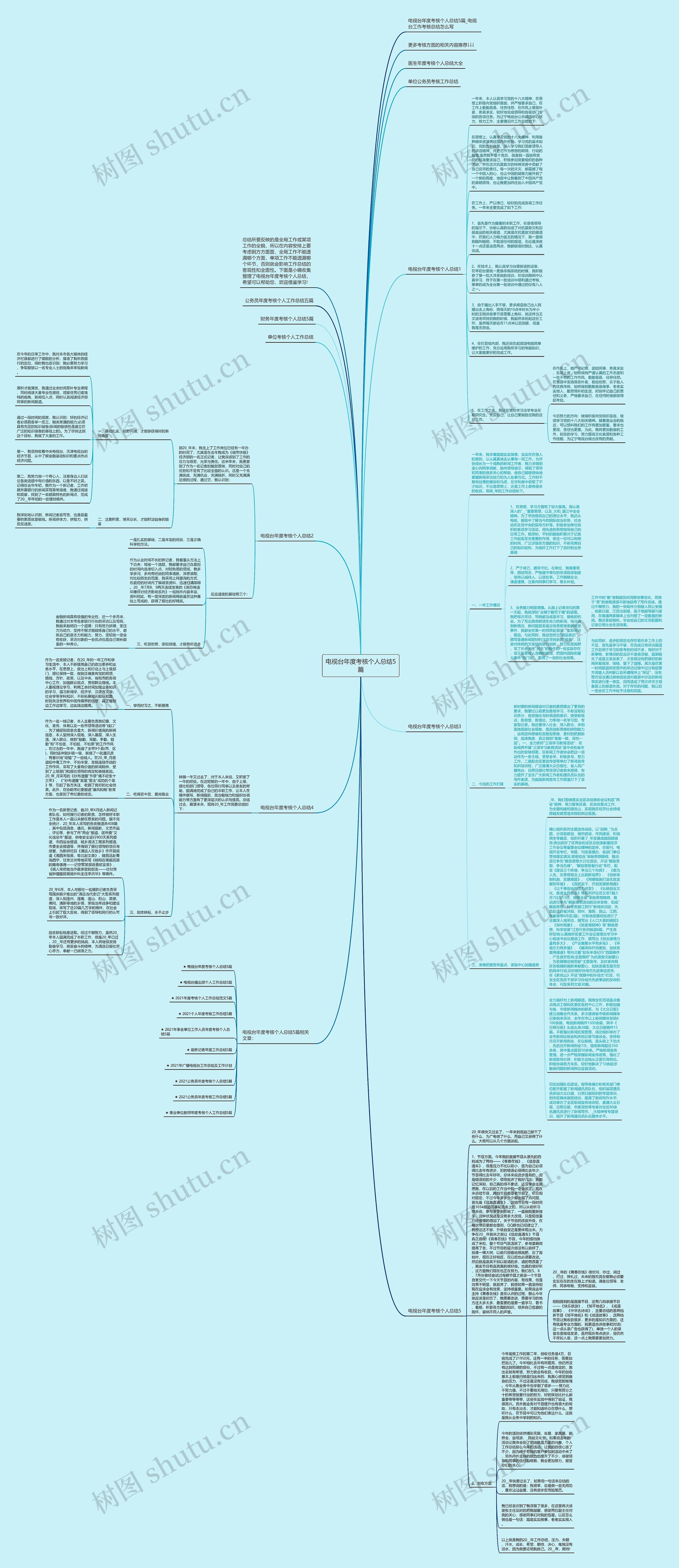 电视台年度考核个人总结5篇思维导图